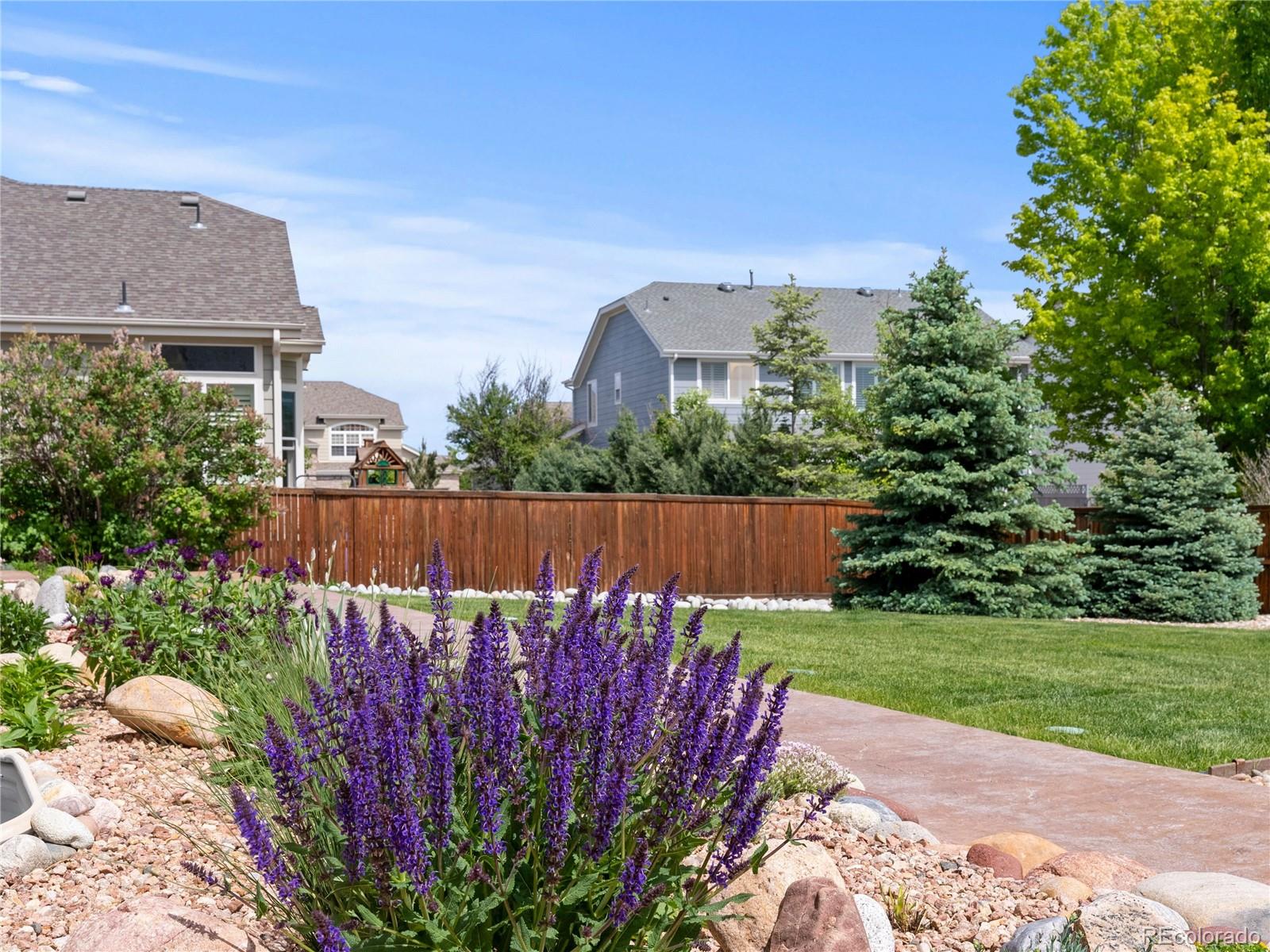 MLS Image #35 for 7108  sapphire pointe boulevard,castle rock, Colorado