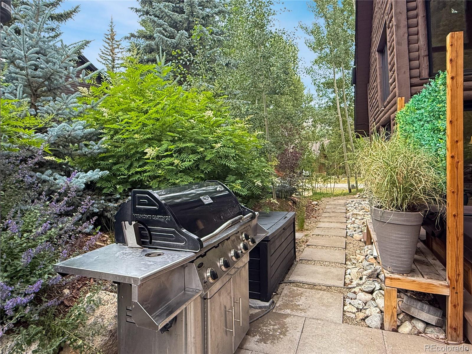 MLS Image #28 for 82  saw whiskers circle,keystone, Colorado