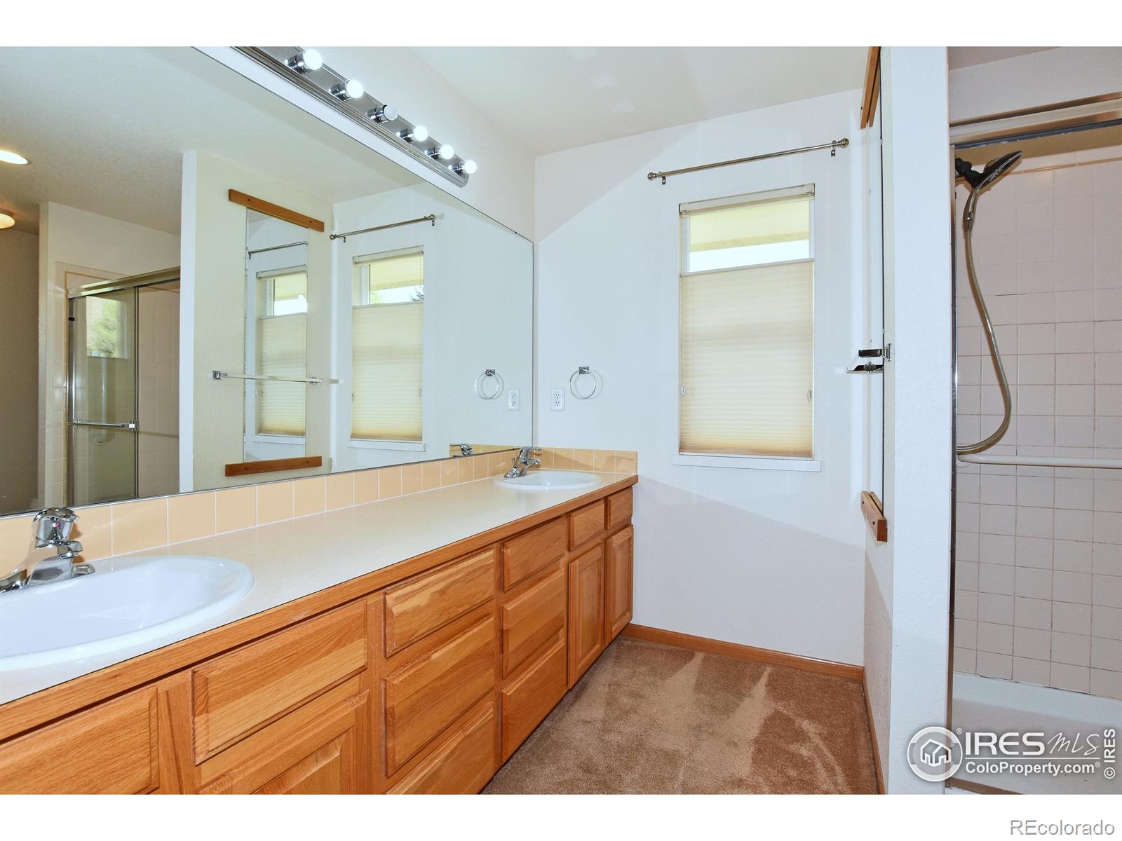 MLS Image #18 for 4057  harrington court,fort collins, Colorado