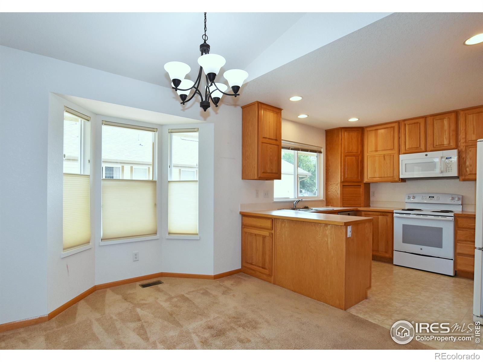 MLS Image #7 for 4057  harrington court,fort collins, Colorado