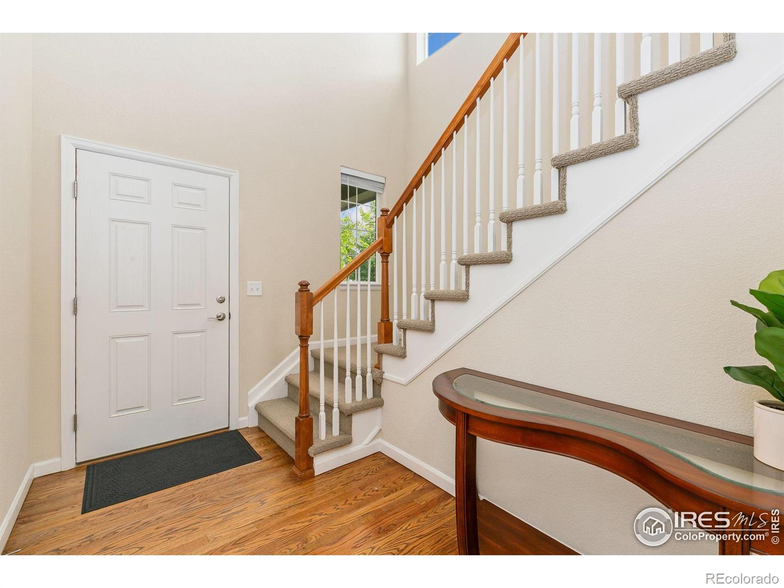 MLS Image #4 for 3114  bryce drive,fort collins, Colorado