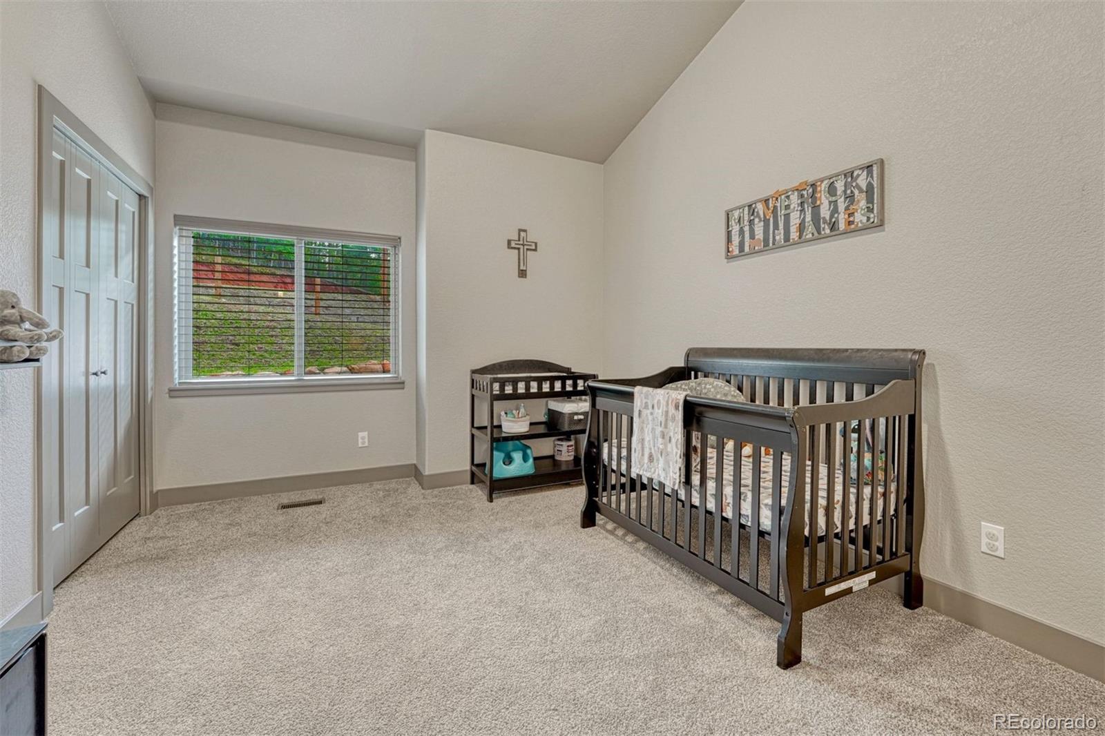 MLS Image #19 for 510  crestview lane,woodland park, Colorado