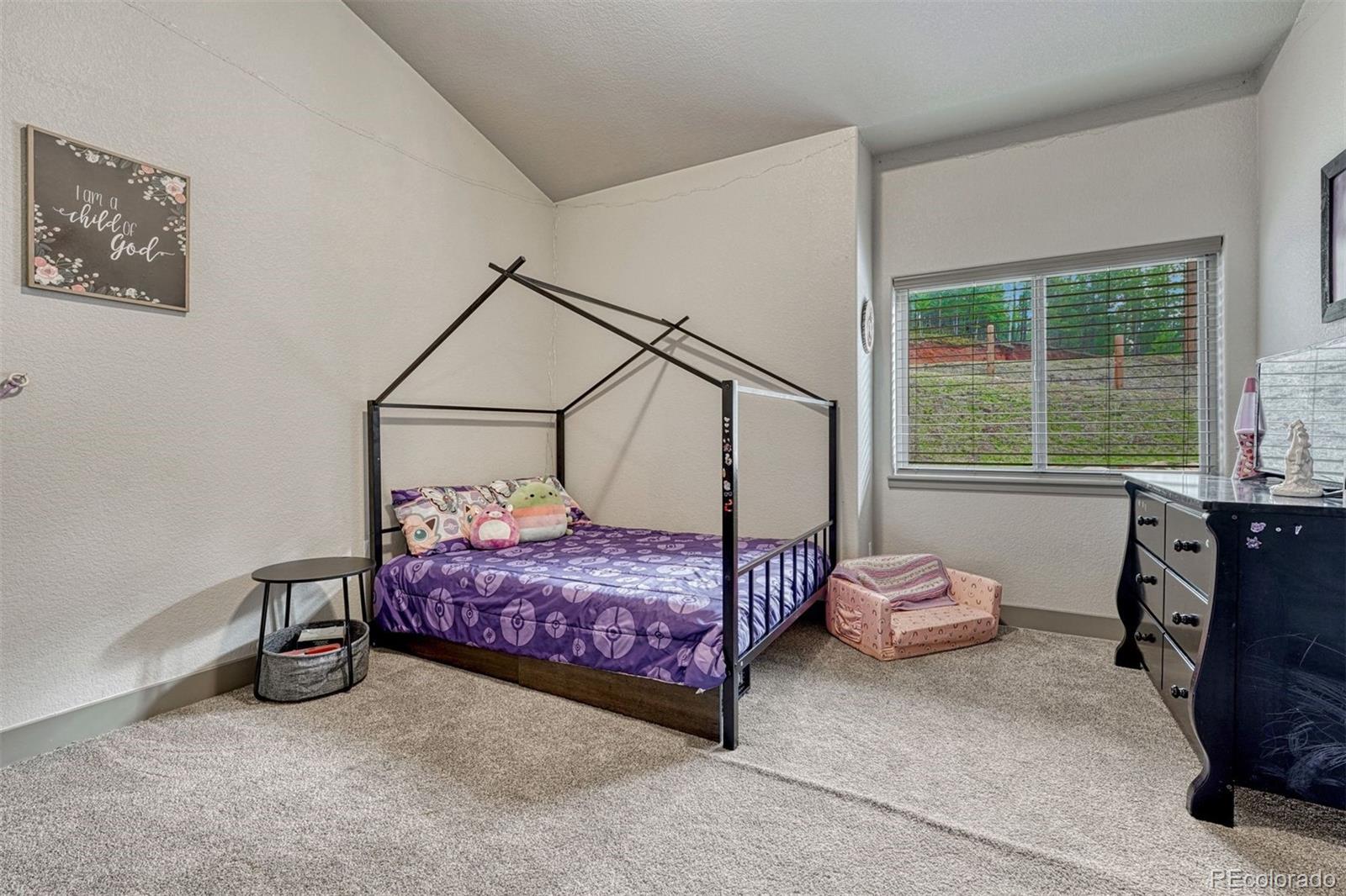 MLS Image #21 for 510  crestview lane,woodland park, Colorado