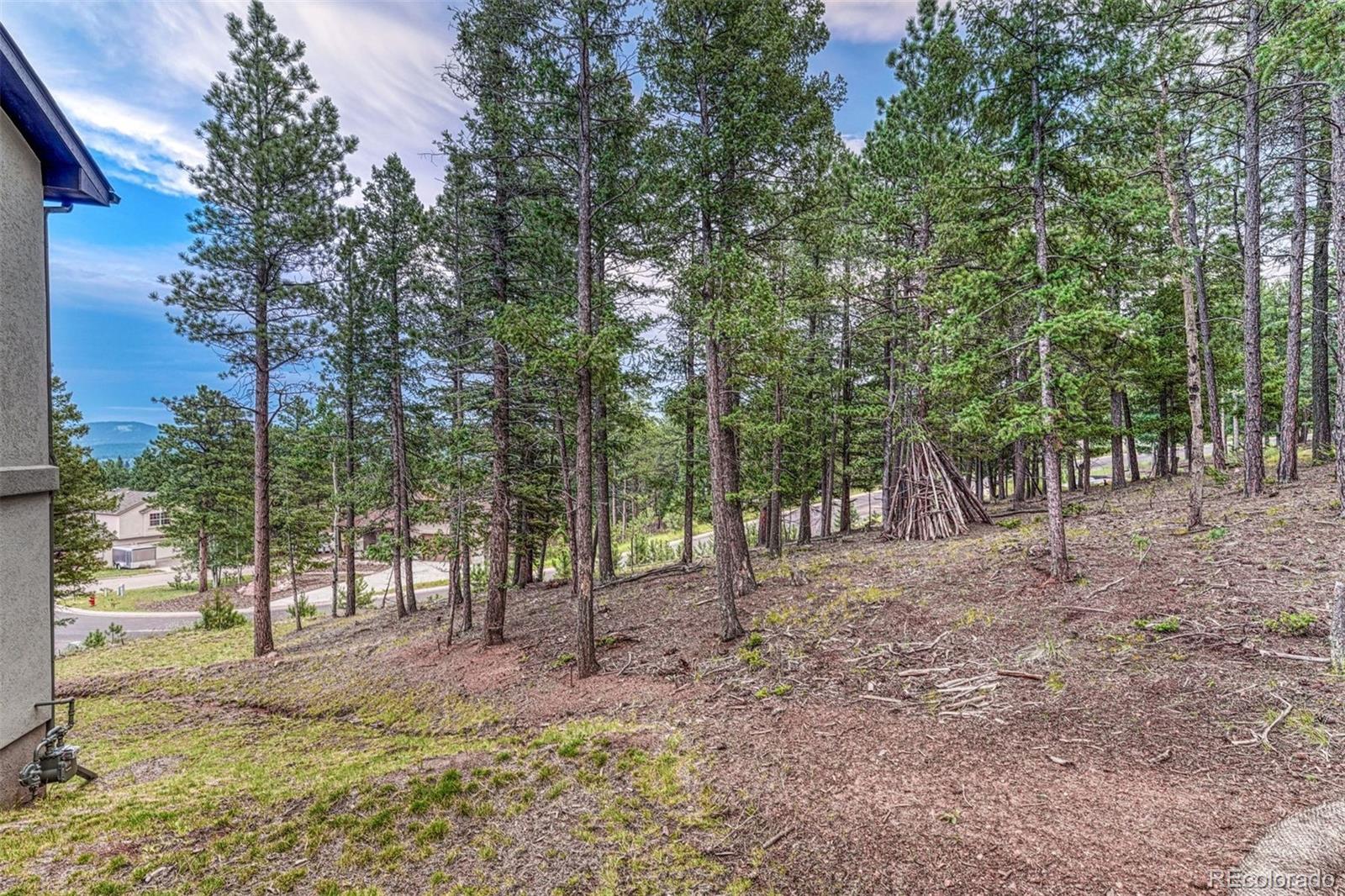 MLS Image #26 for 510  crestview lane,woodland park, Colorado