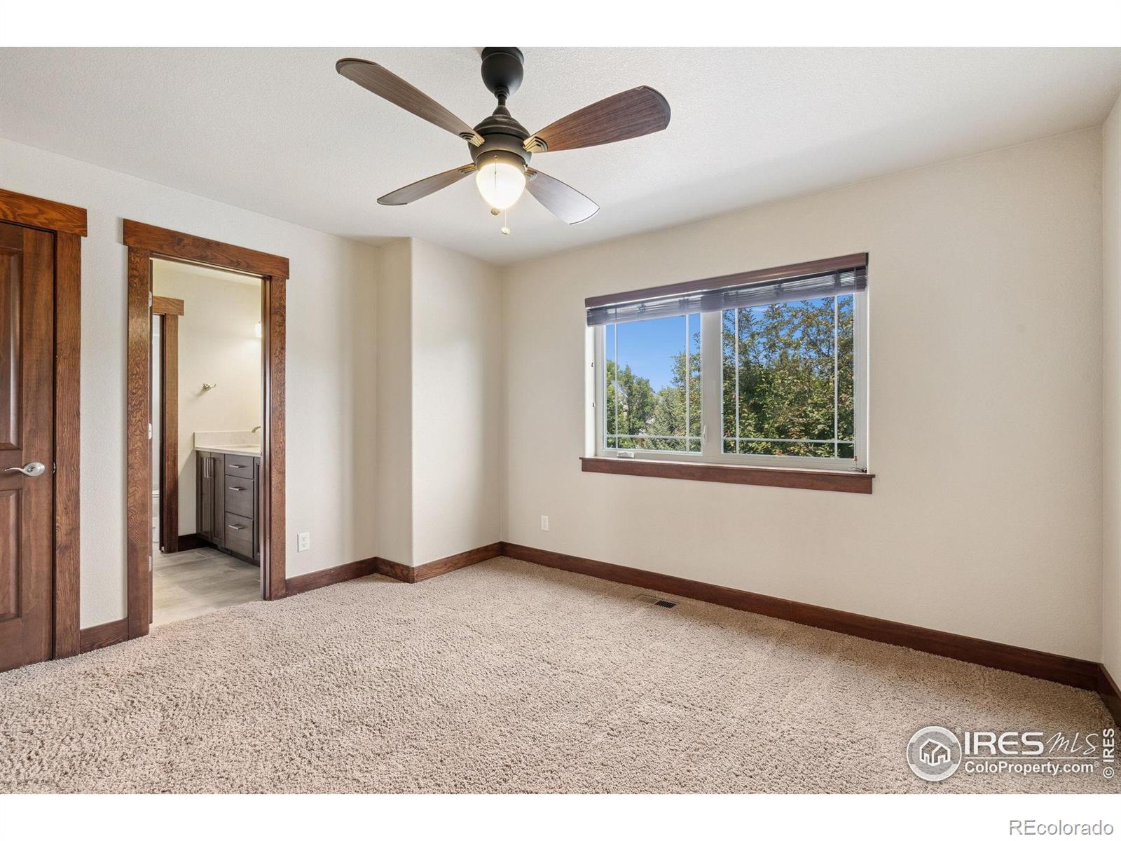 MLS Image #22 for 3349  egret court,fort collins, Colorado