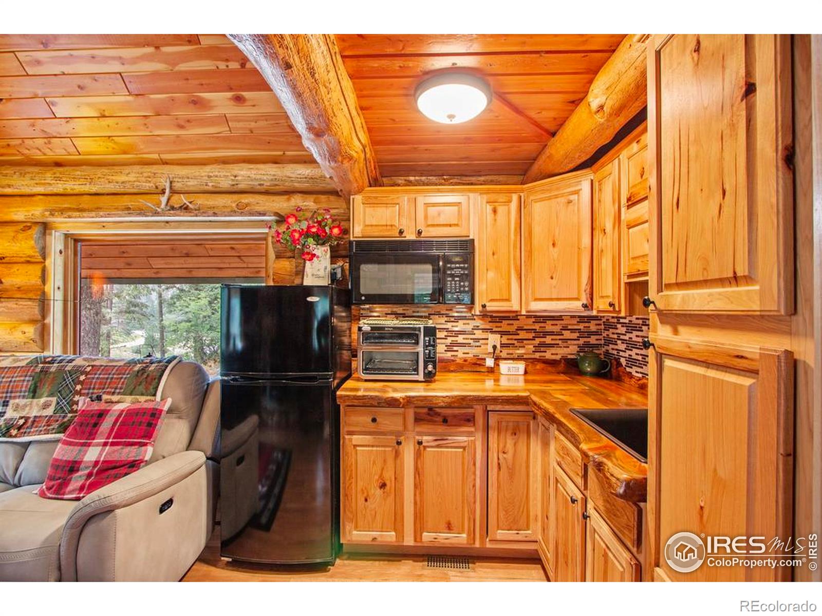 MLS Image #10 for 206  waltonia river court,drake, Colorado