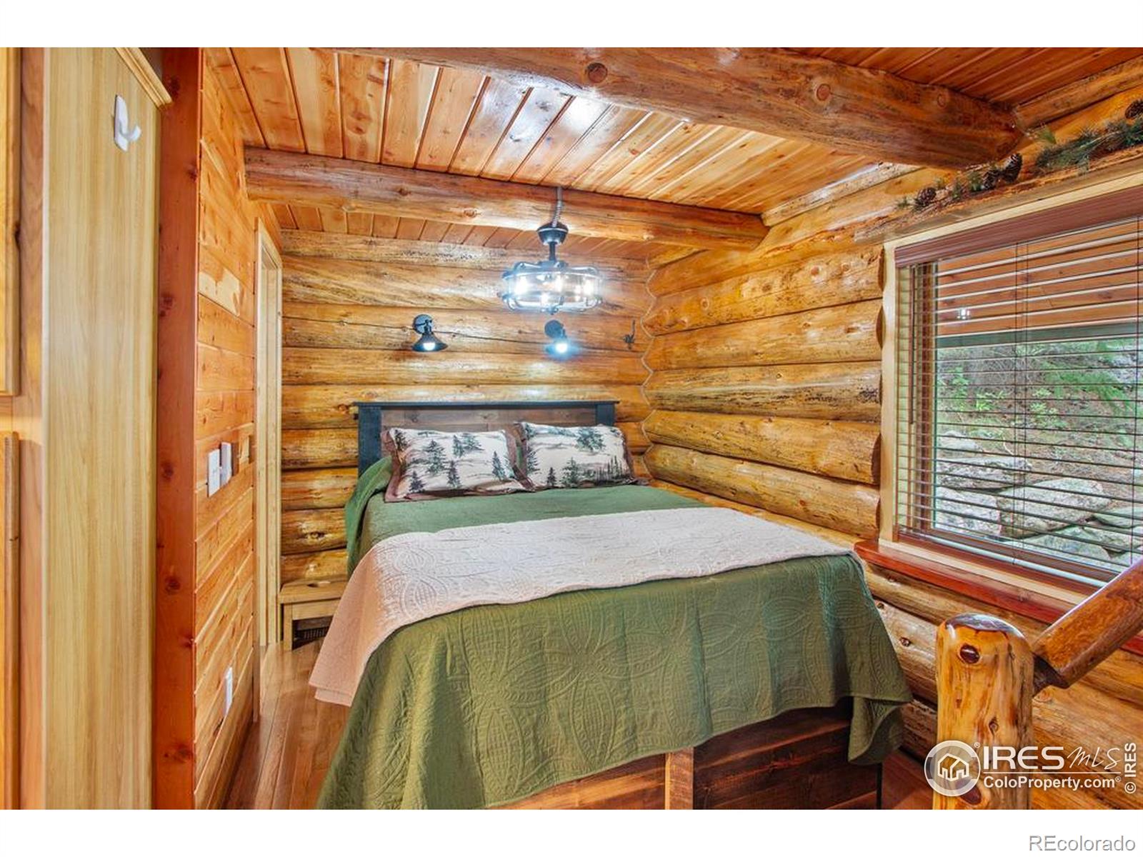 MLS Image #13 for 206  waltonia river court,drake, Colorado