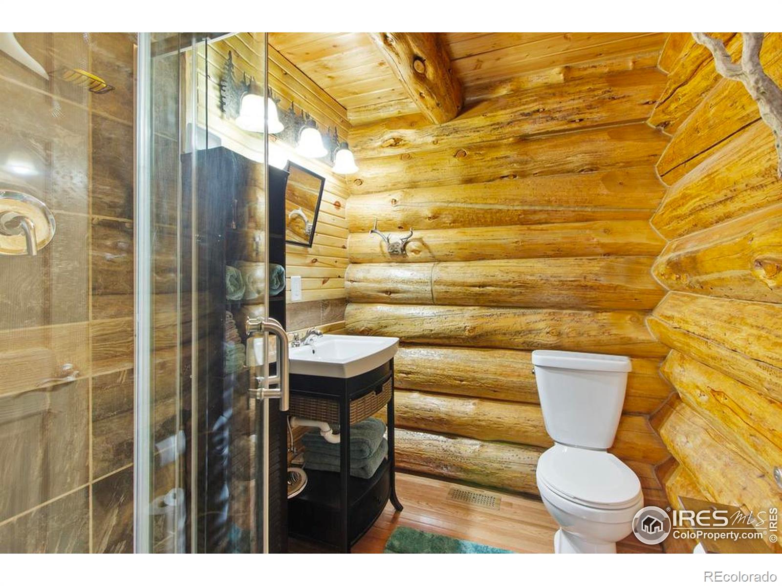 MLS Image #15 for 206  waltonia river court,drake, Colorado