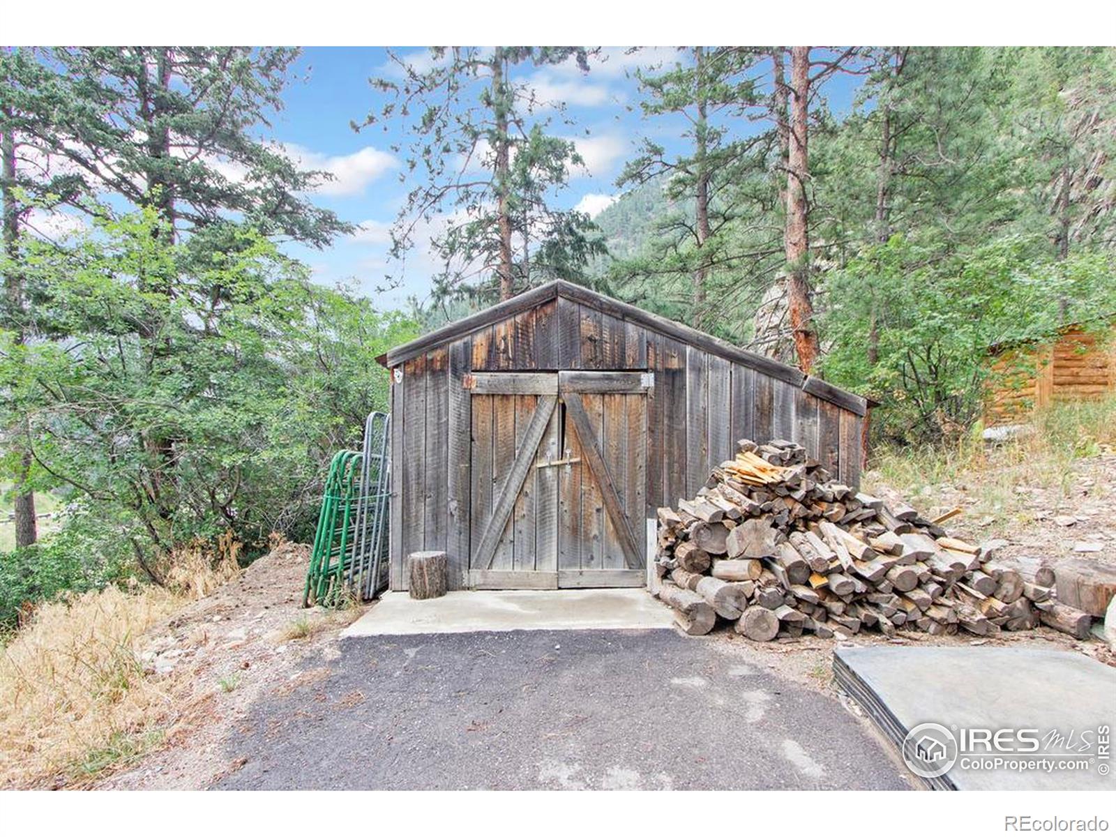 MLS Image #25 for 206  waltonia river court,drake, Colorado
