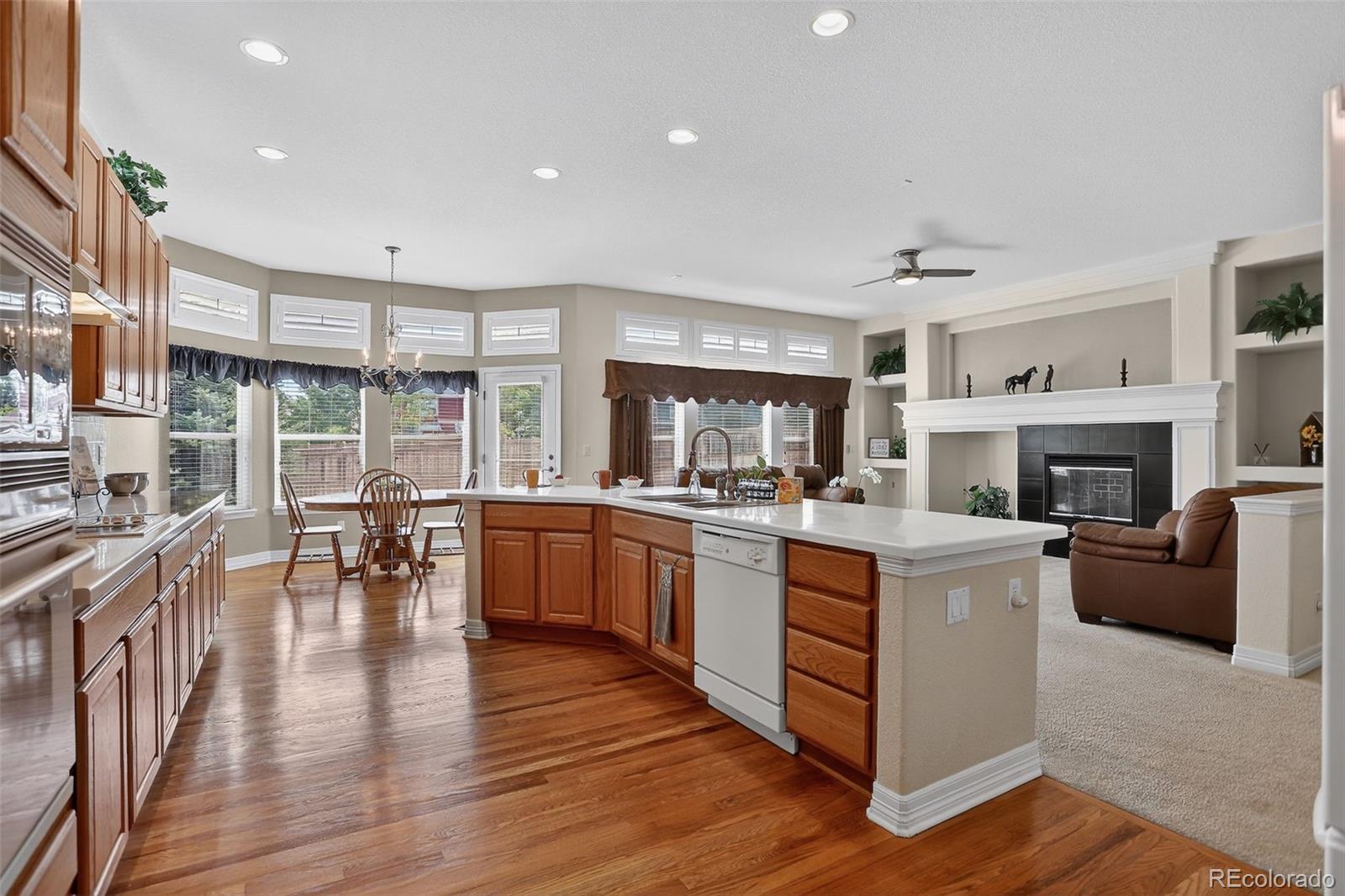 MLS Image #16 for 22965  hope dale avenue,parker, Colorado