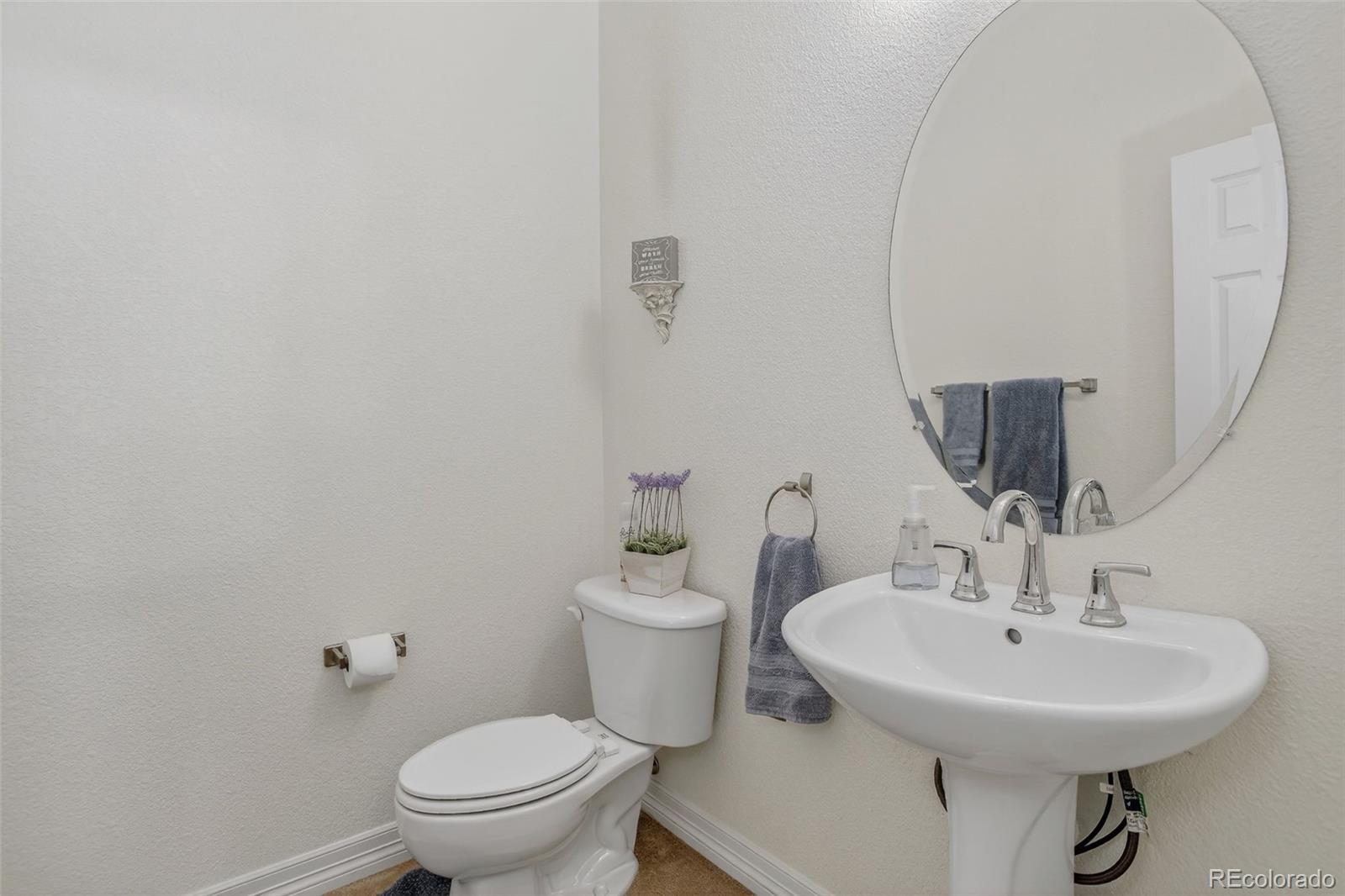 MLS Image #22 for 22965  hope dale avenue,parker, Colorado