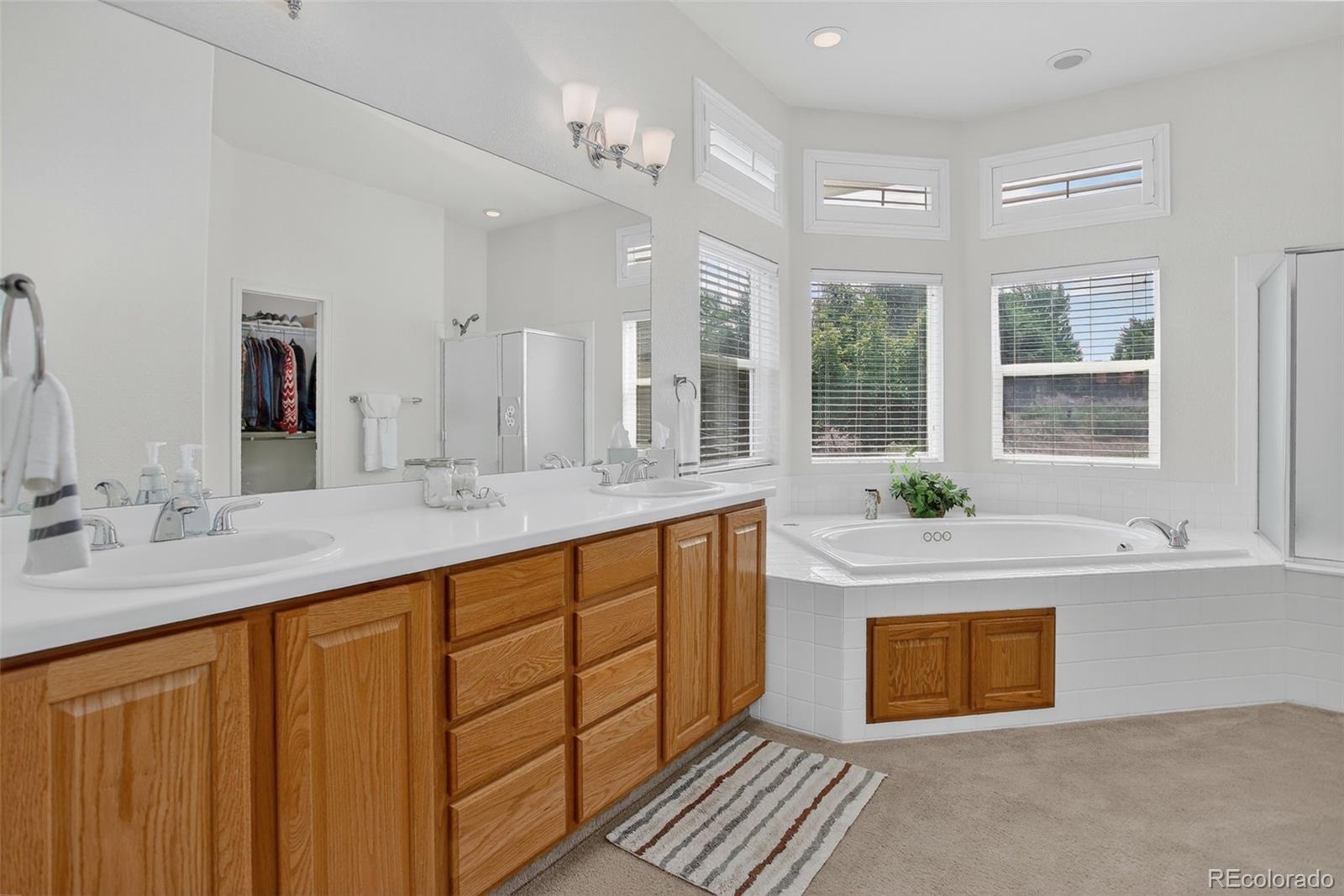 MLS Image #26 for 22965  hope dale avenue,parker, Colorado