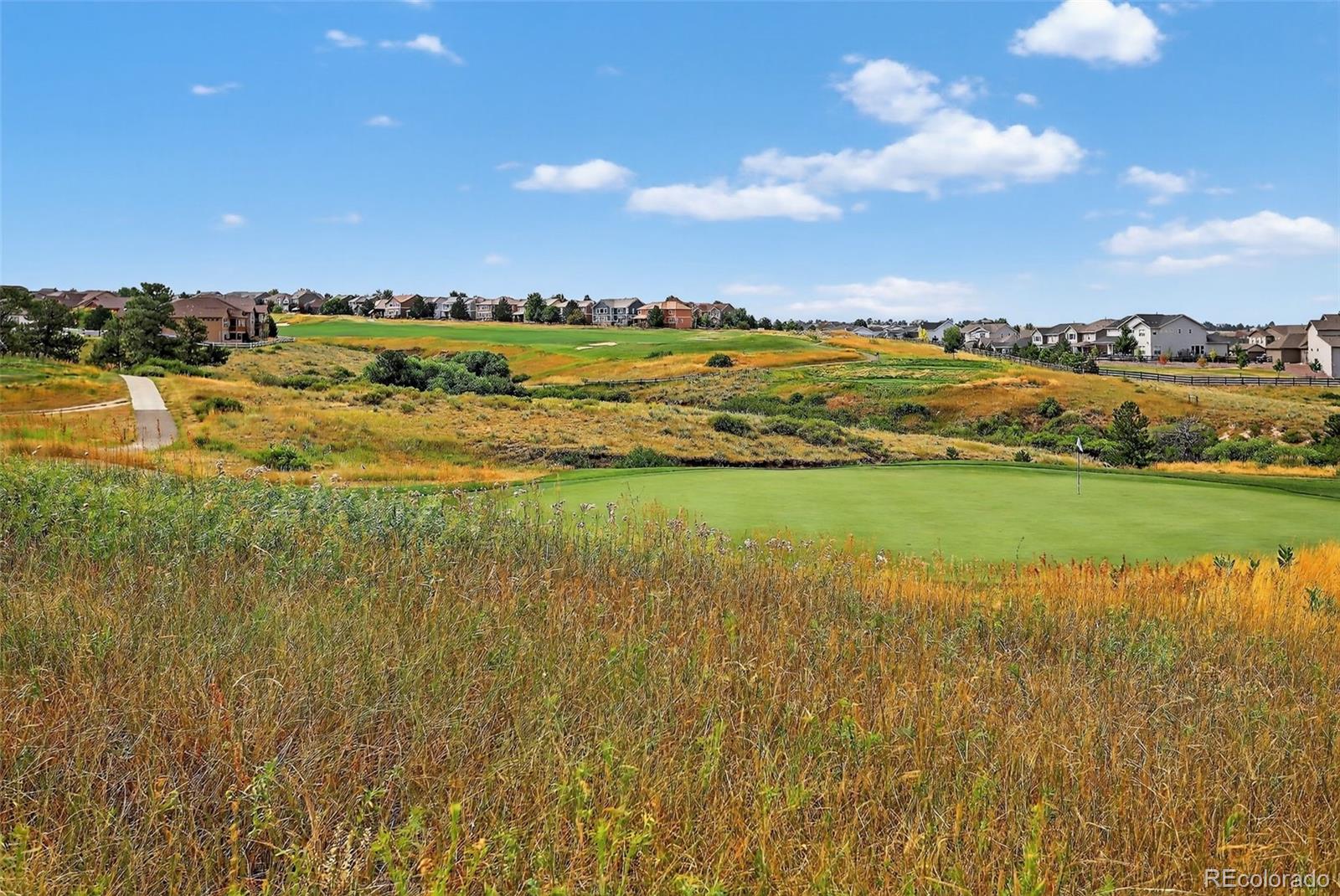 MLS Image #48 for 22965  hope dale avenue,parker, Colorado