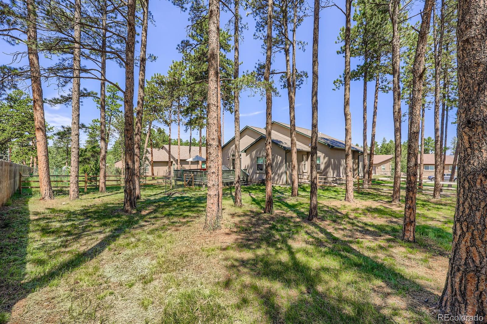 MLS Image #27 for 1163  ptarmigan drive,woodland park, Colorado