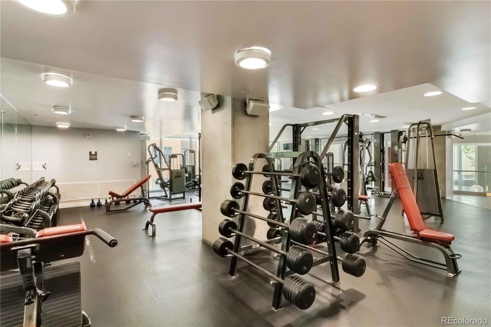 MLS Image #18 for 1700  bassett street,denver, Colorado