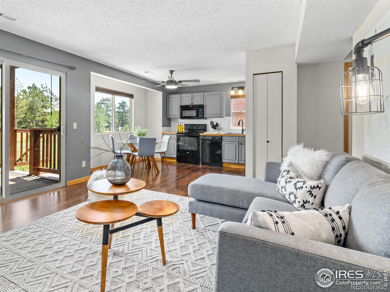MLS Image #11 for 507  fall river lane,estes park, Colorado