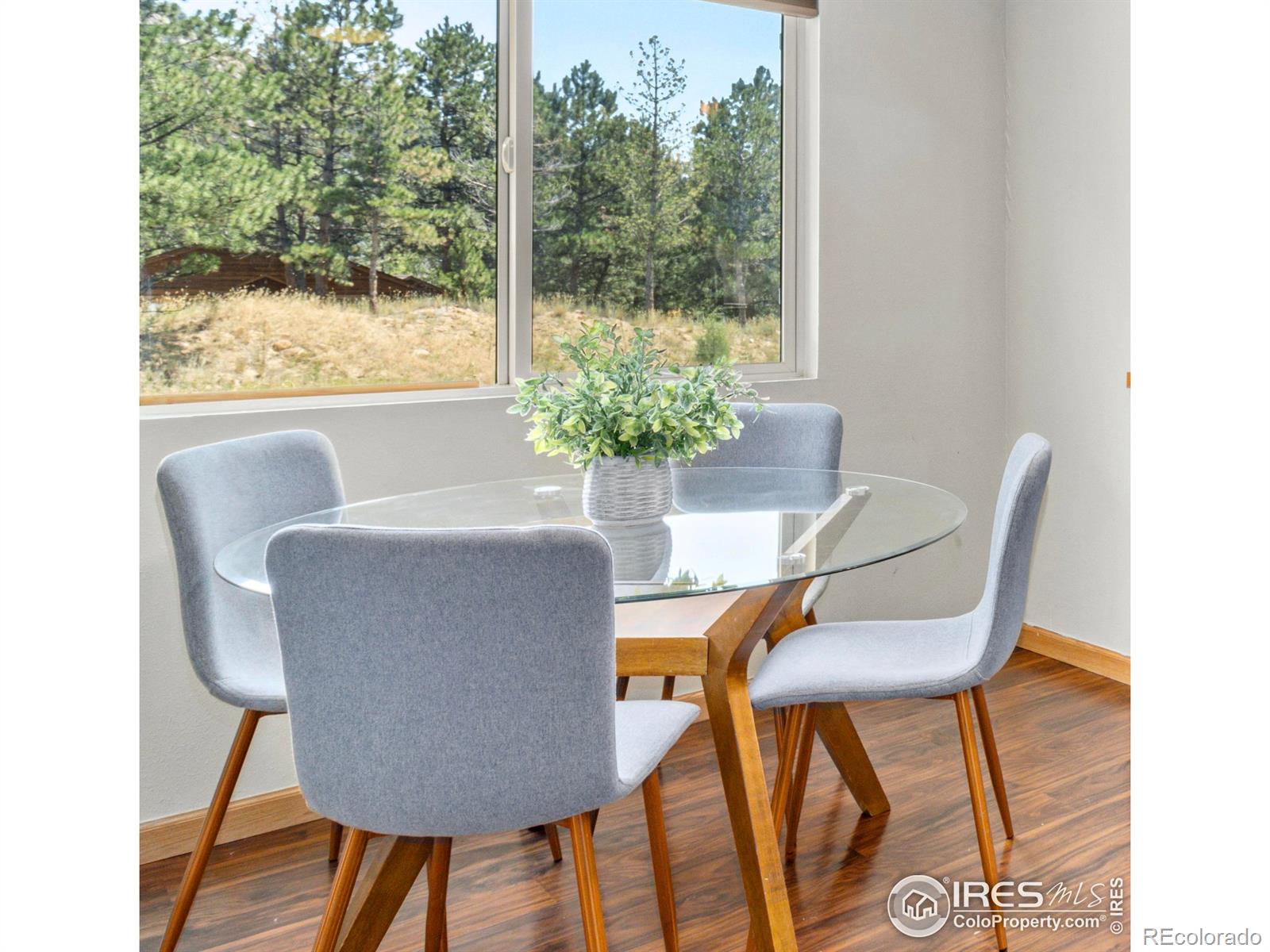 MLS Image #14 for 507  fall river lane,estes park, Colorado