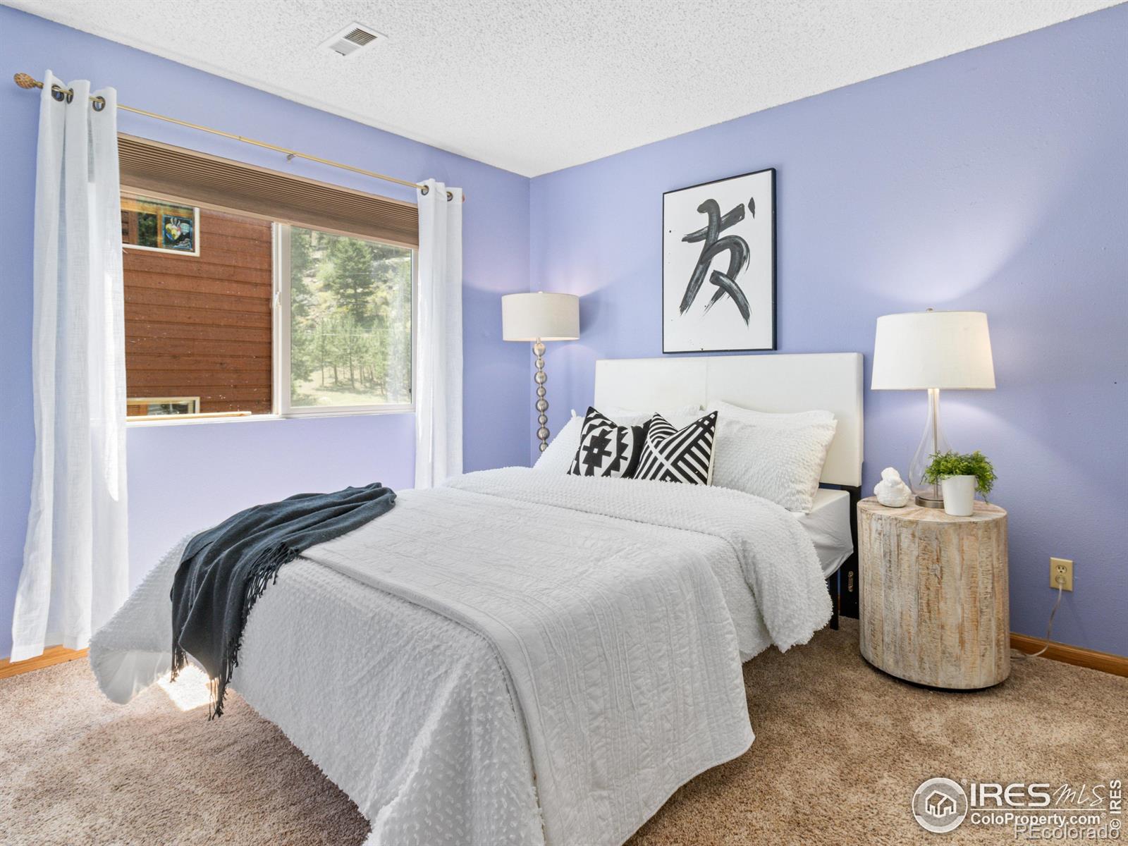 MLS Image #18 for 507  fall river lane,estes park, Colorado