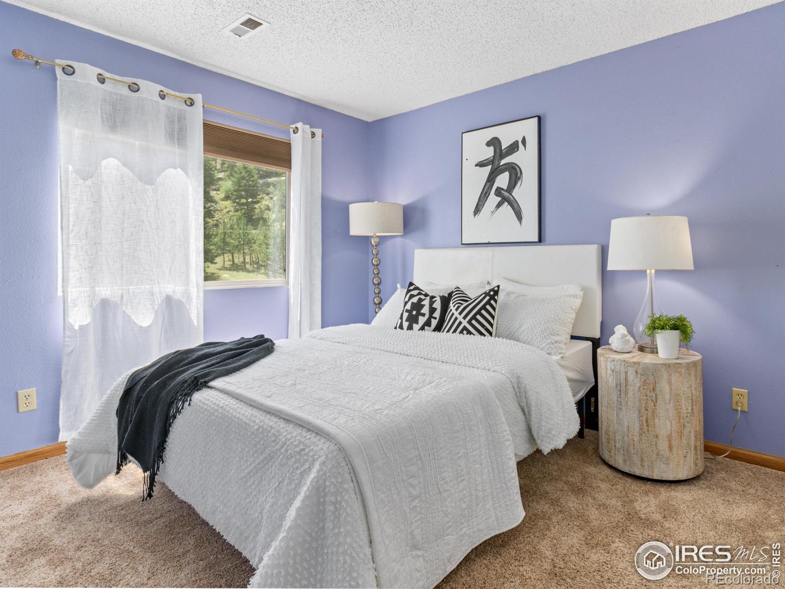 MLS Image #20 for 507  fall river lane,estes park, Colorado
