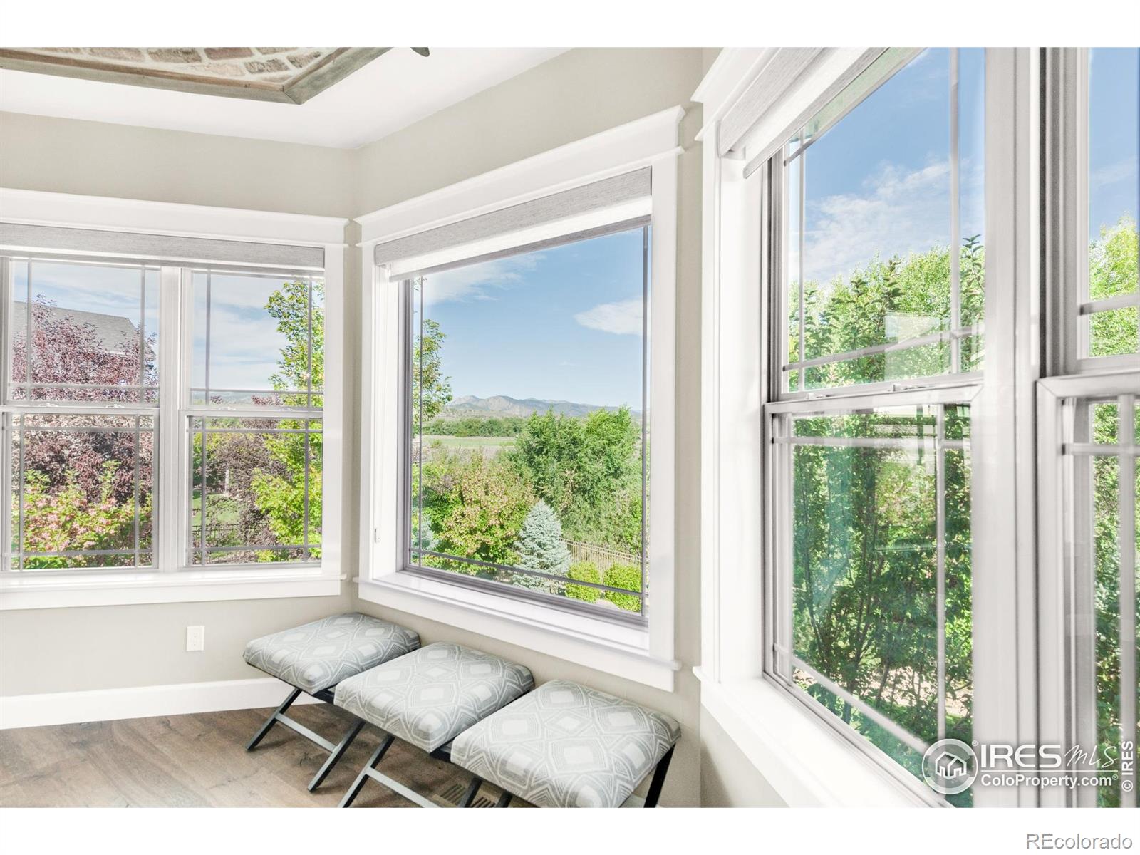 MLS Image #12 for 404  black elk court,loveland, Colorado