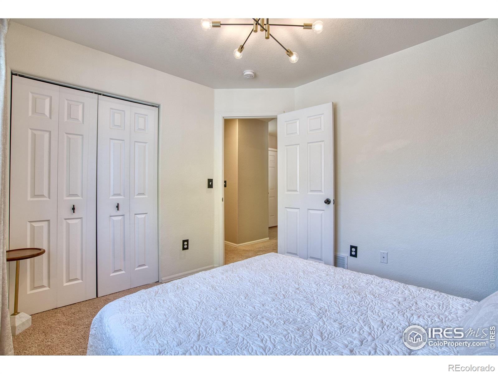 MLS Image #17 for 16167  cinnamon circle,mead, Colorado