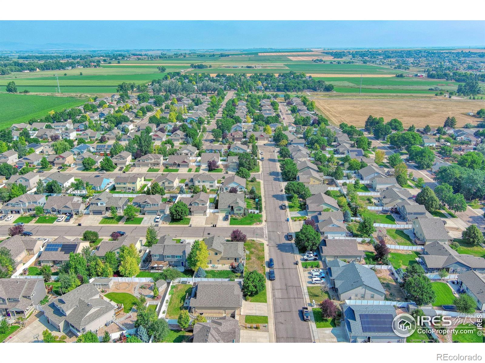 MLS Image #34 for 16167  cinnamon circle,mead, Colorado