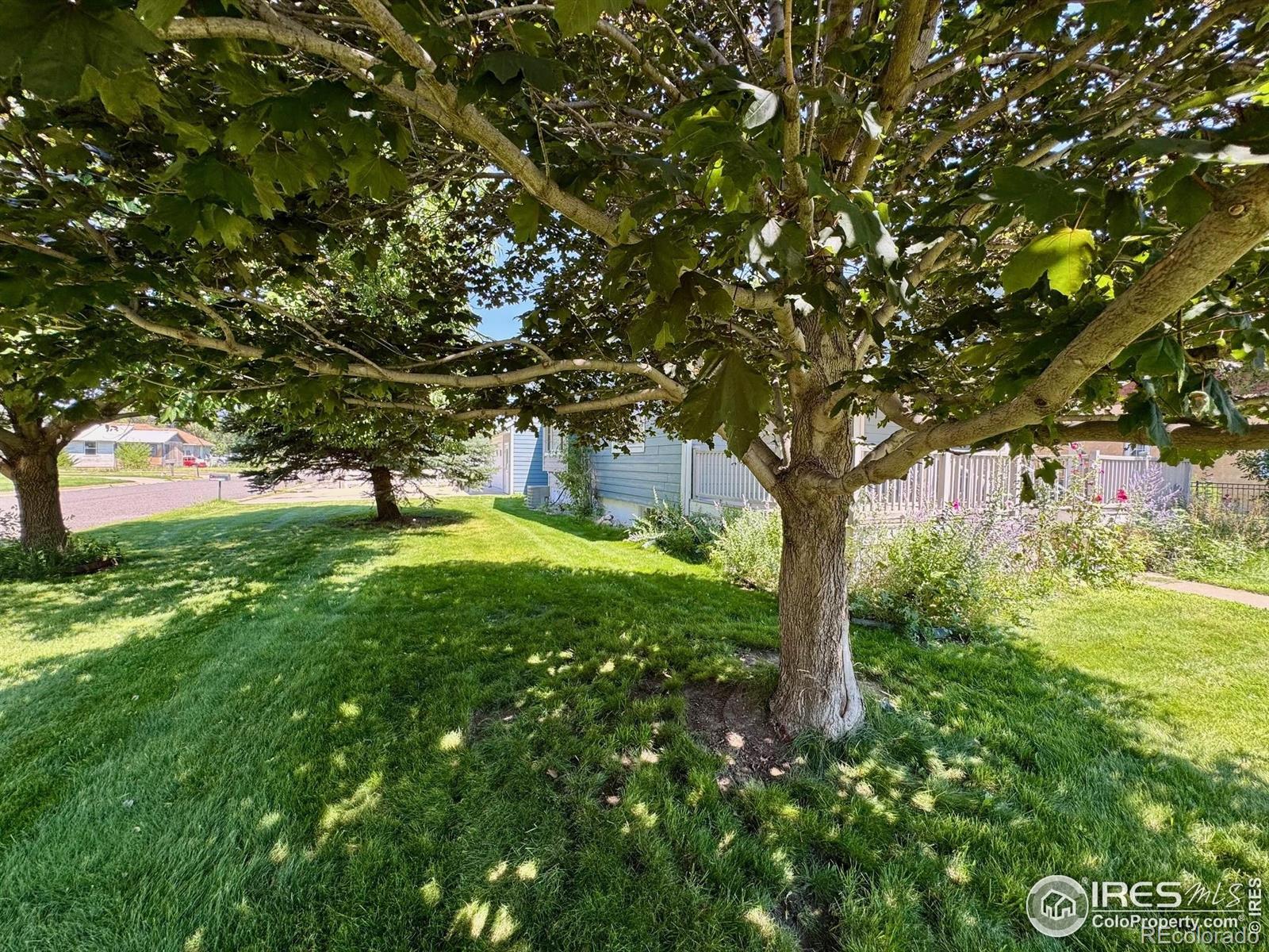 MLS Image #14 for 305 e chase street,haxtun, Colorado