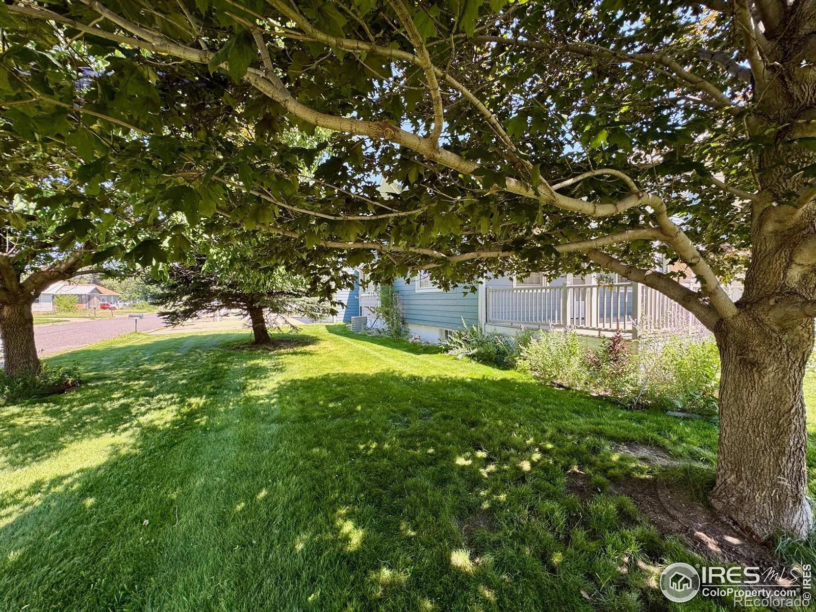 MLS Image #5 for 305 e chase street,haxtun, Colorado