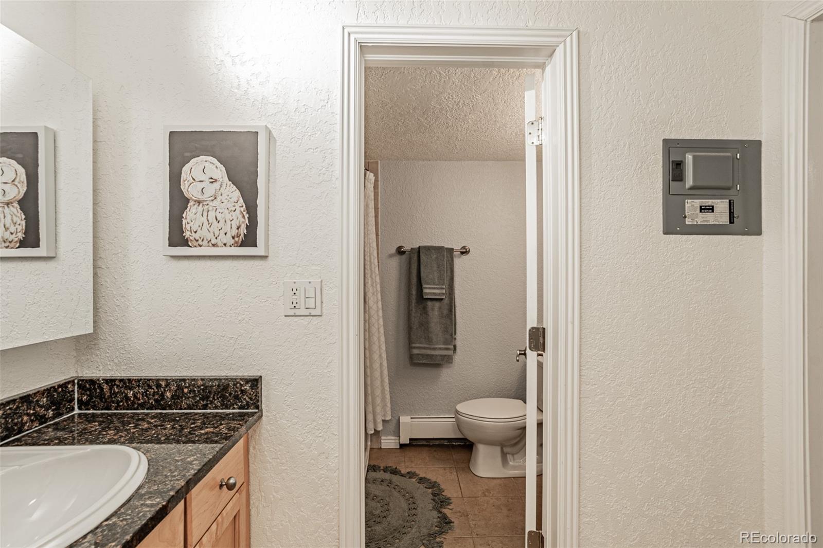 MLS Image #19 for 1151 n marion street,denver, Colorado
