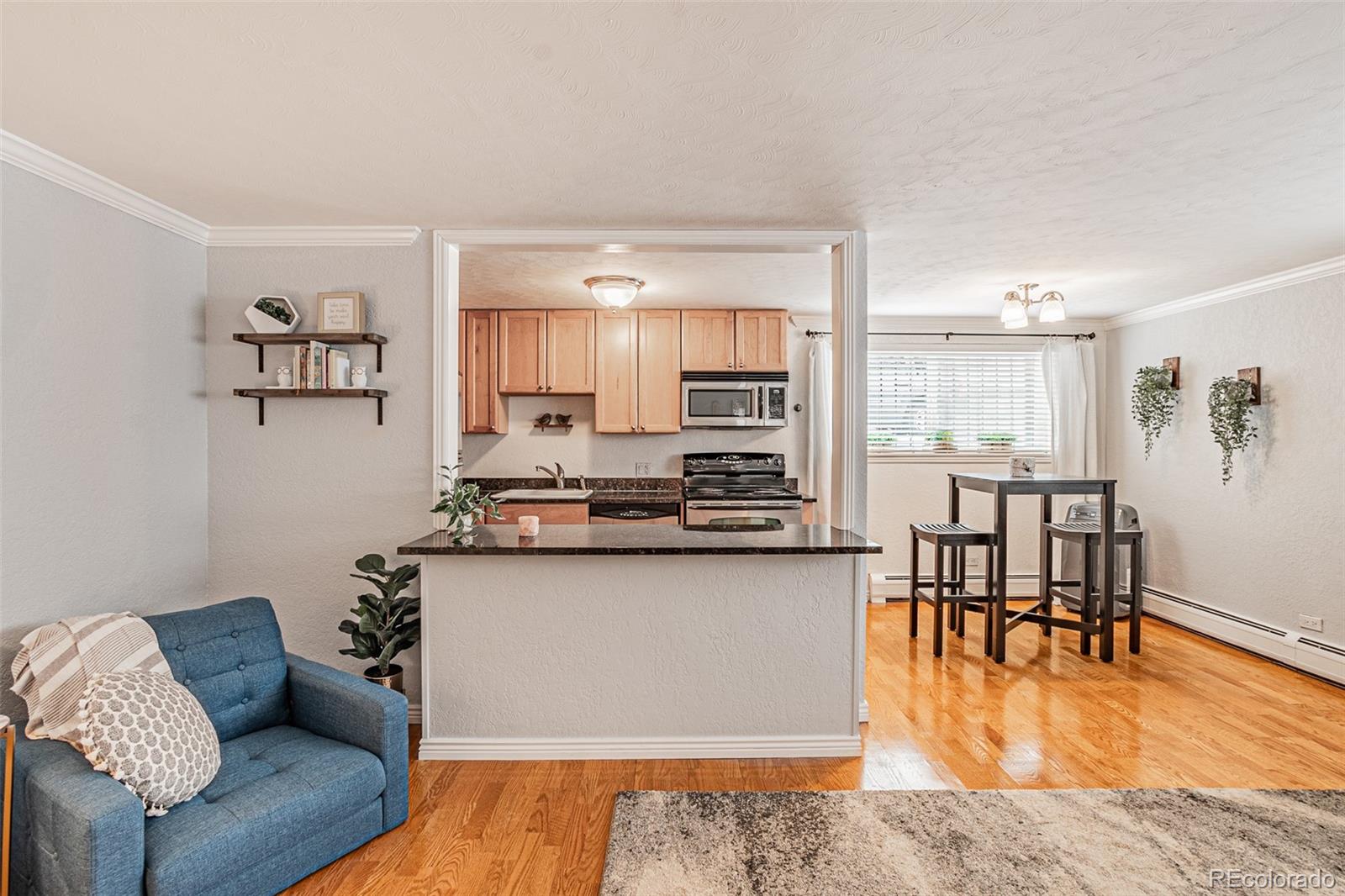 MLS Image #4 for 1151 n marion street,denver, Colorado