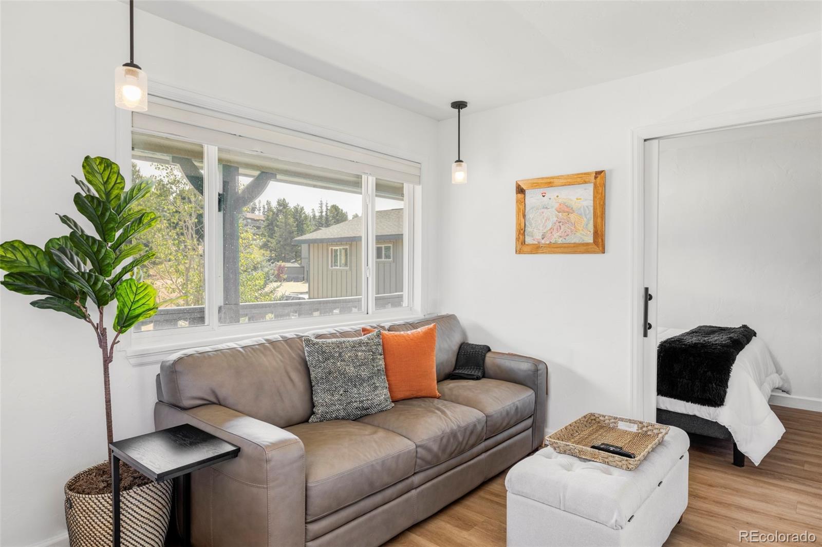 MLS Image #3 for 225  gcr 804 ,fraser, Colorado