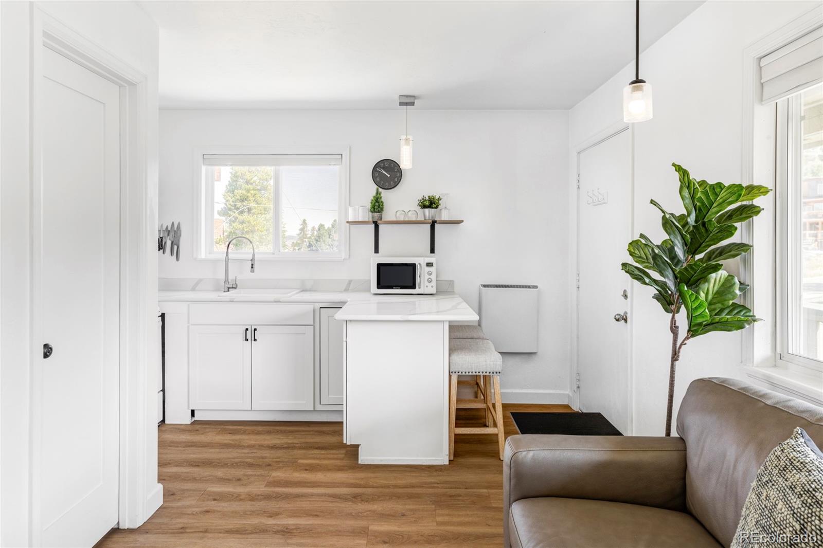 MLS Image #4 for 225  gcr 804 ,fraser, Colorado