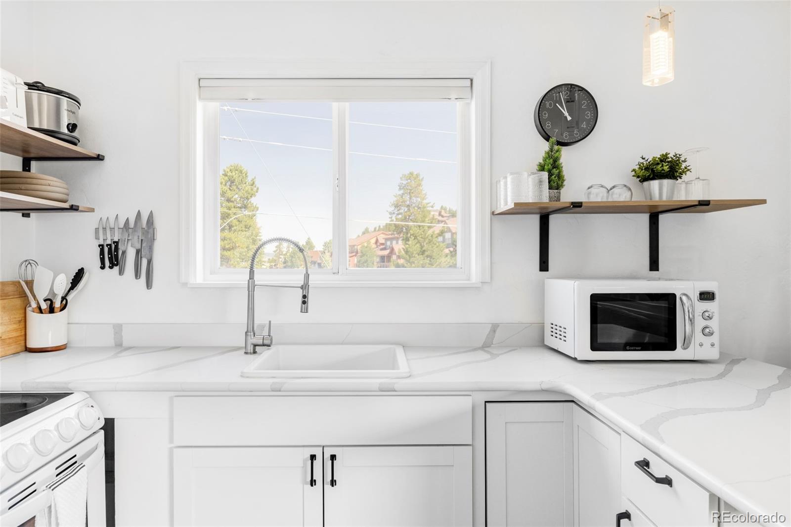 MLS Image #8 for 225  gcr 804 ,fraser, Colorado