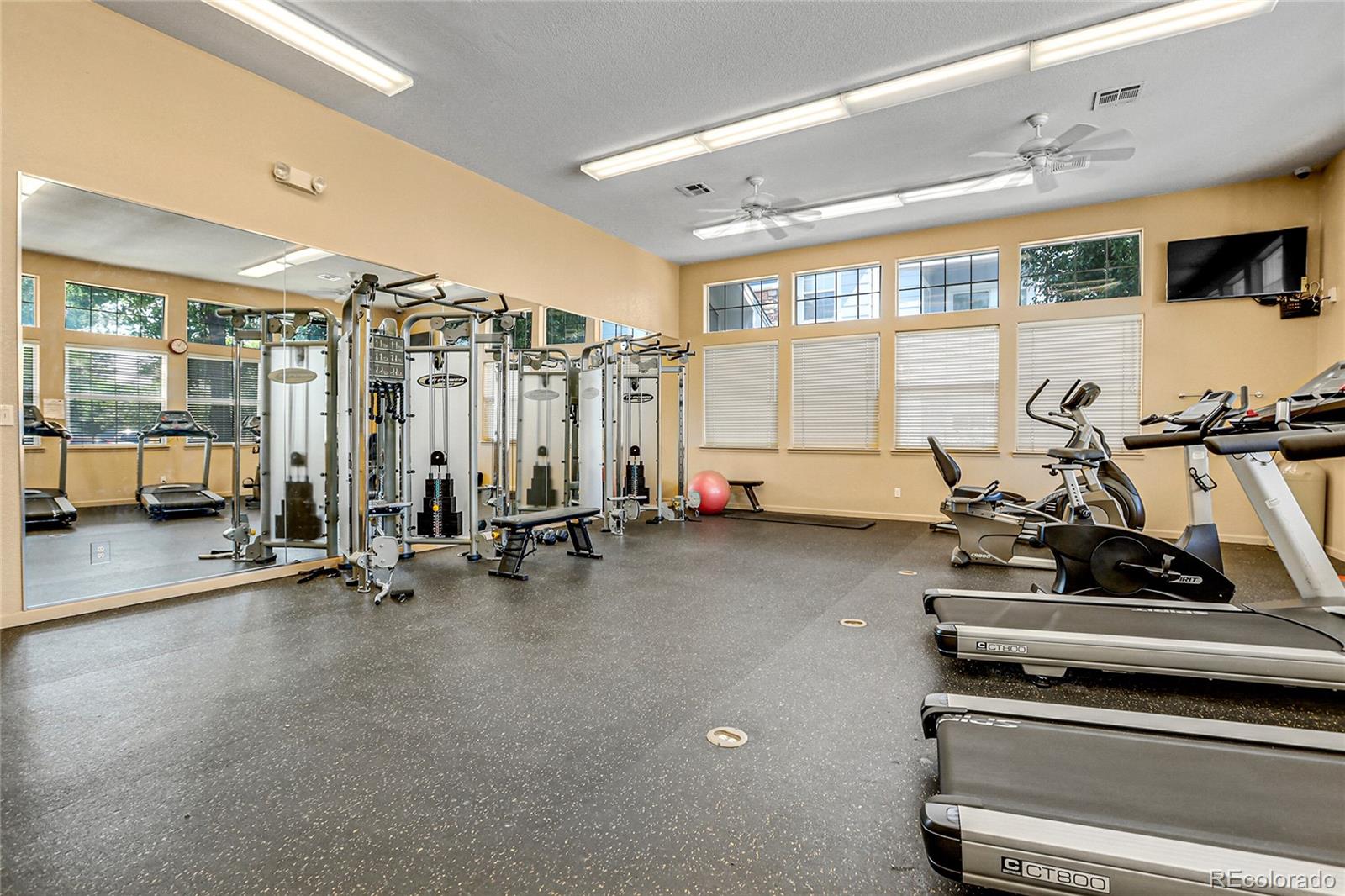 MLS Image #9 for 5255  memphis street,denver, Colorado