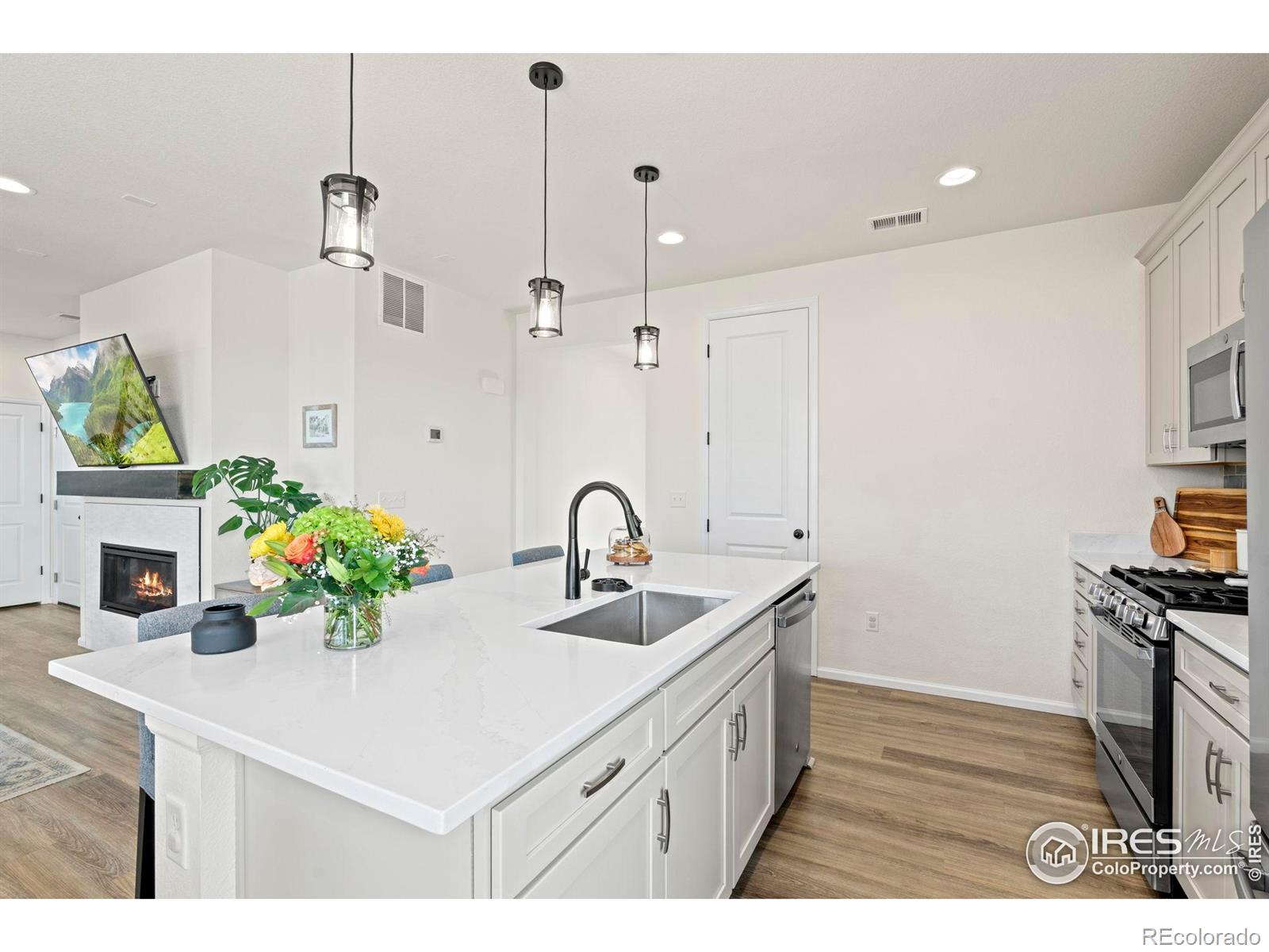 MLS Image #23 for 21 n edge cliff street,castle rock, Colorado