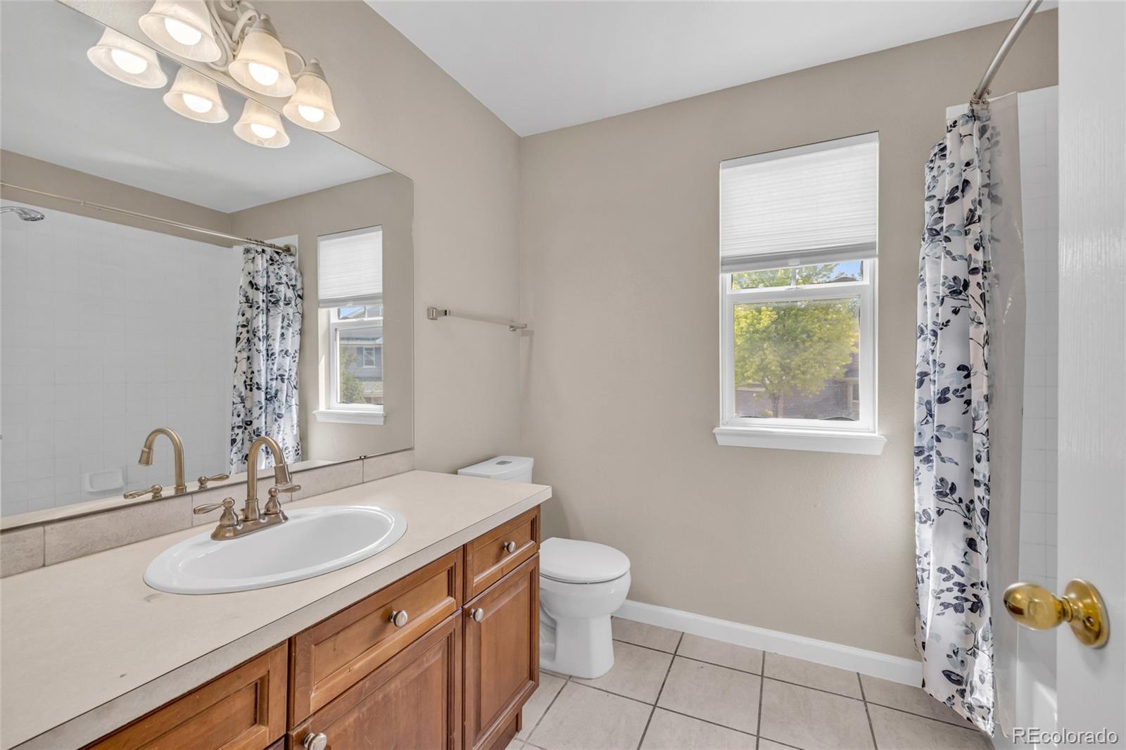 MLS Image #23 for 1870  idalia court,loveland, Colorado