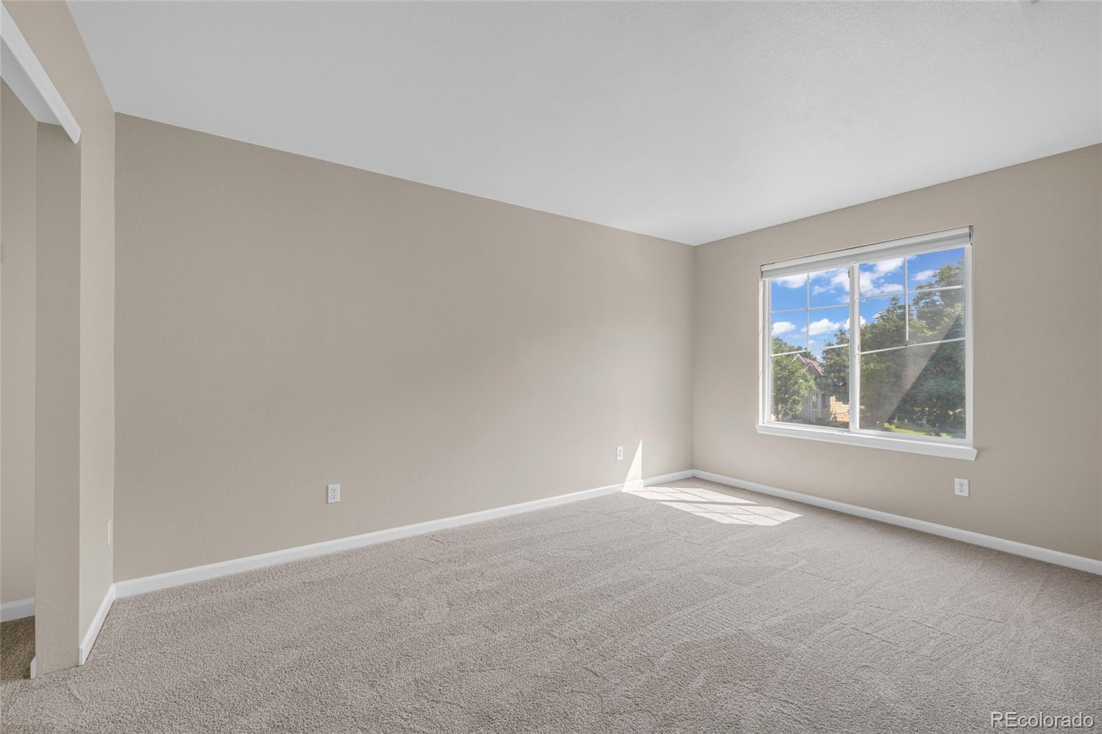 MLS Image #29 for 1870  idalia court,loveland, Colorado