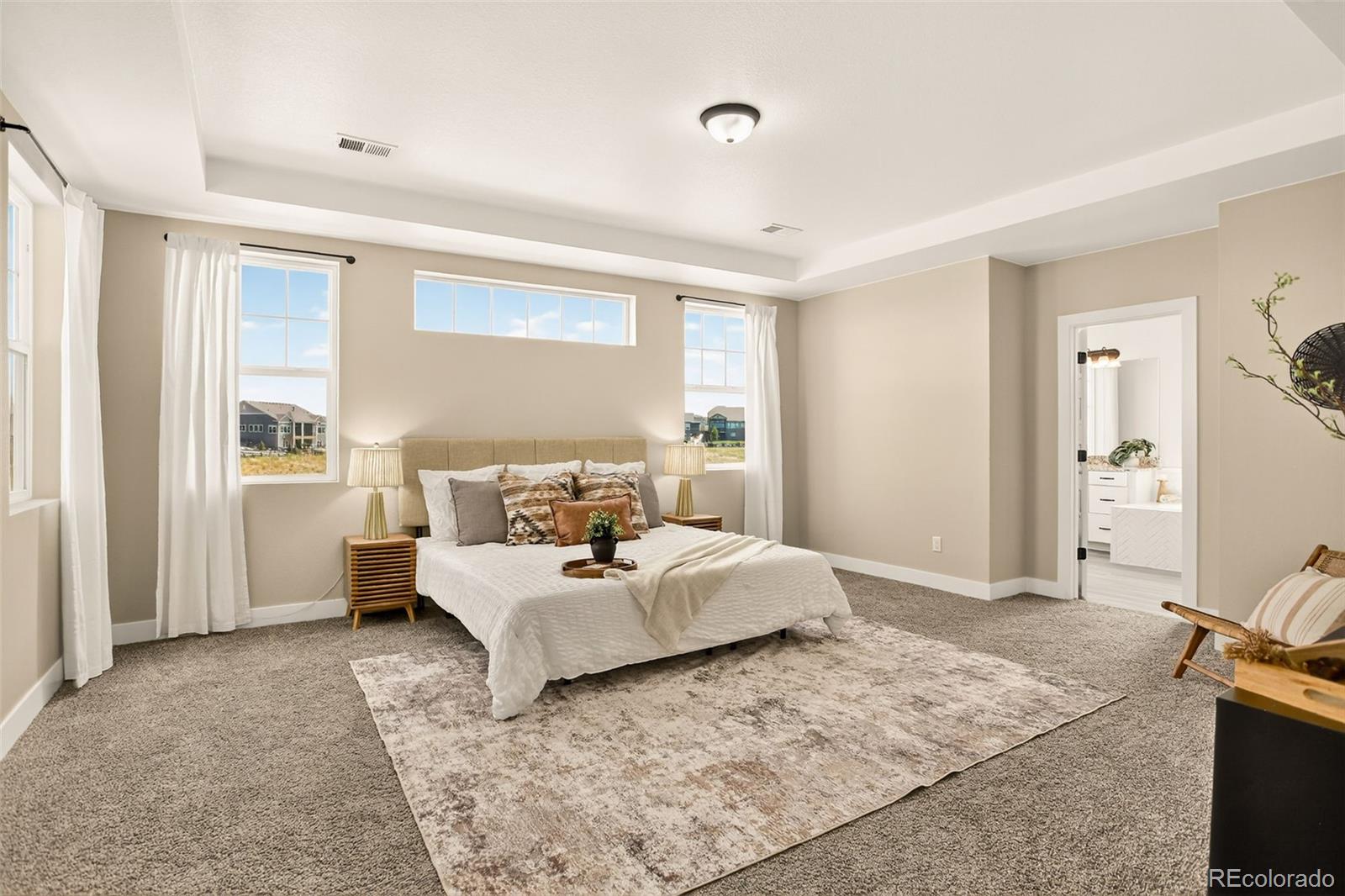 MLS Image #22 for 3093  carabiner street,castle rock, Colorado
