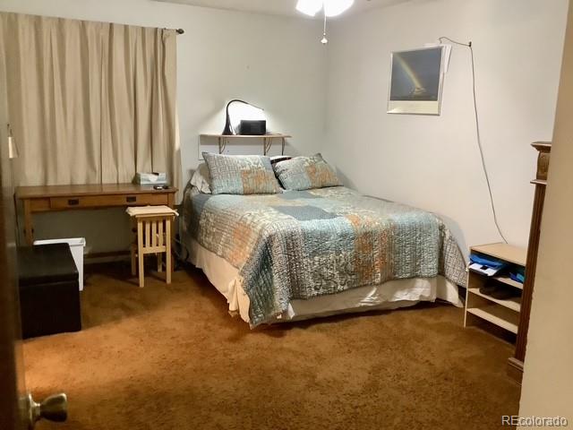 MLS Image #10 for 4900 s garrison street,littleton, Colorado