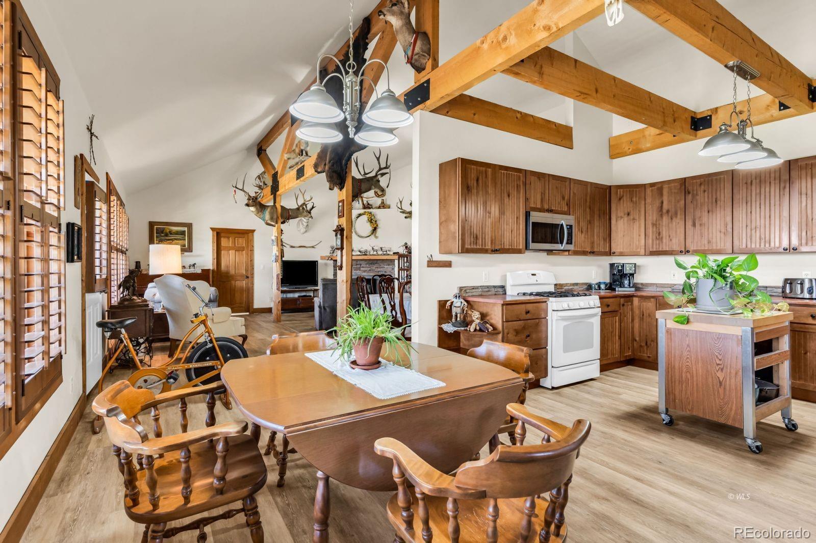MLS Image #7 for 220  rhonda road,westcliffe, Colorado