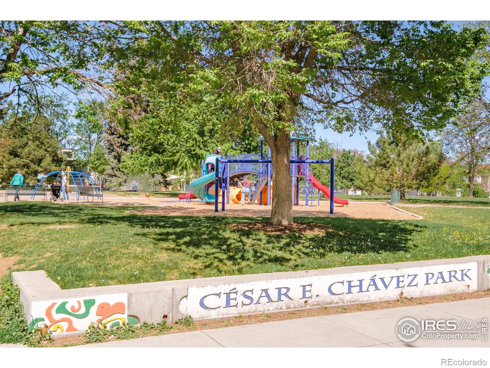 MLS Image #33 for 3957  utica street,denver, Colorado