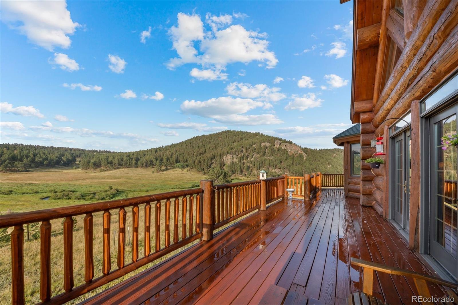 MLS Image #10 for 79  six shooter court,bailey, Colorado
