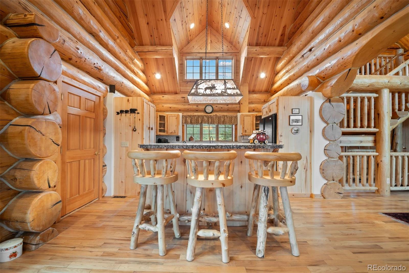 MLS Image #16 for 79  six shooter court,bailey, Colorado