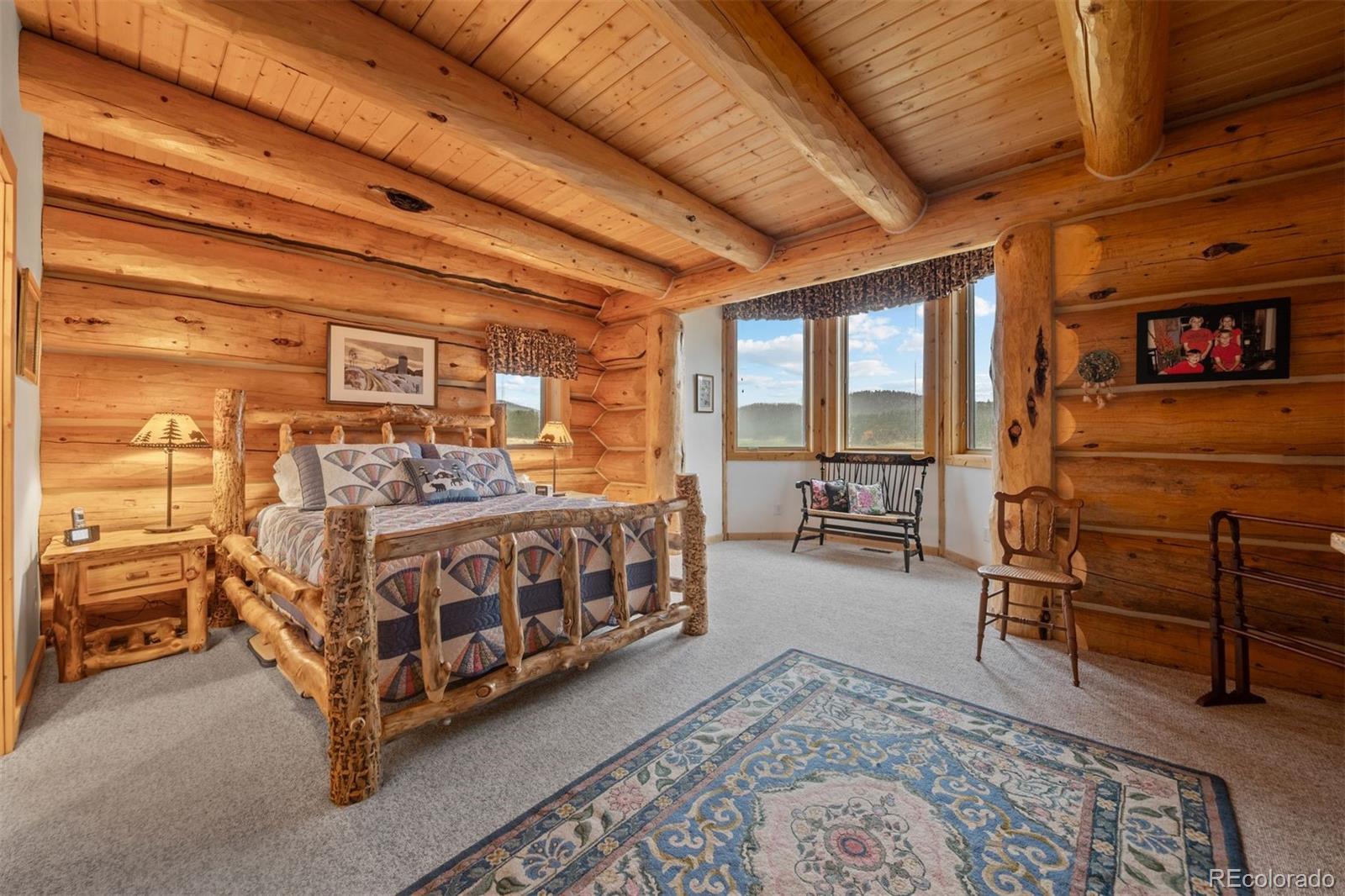 MLS Image #21 for 79  six shooter court,bailey, Colorado