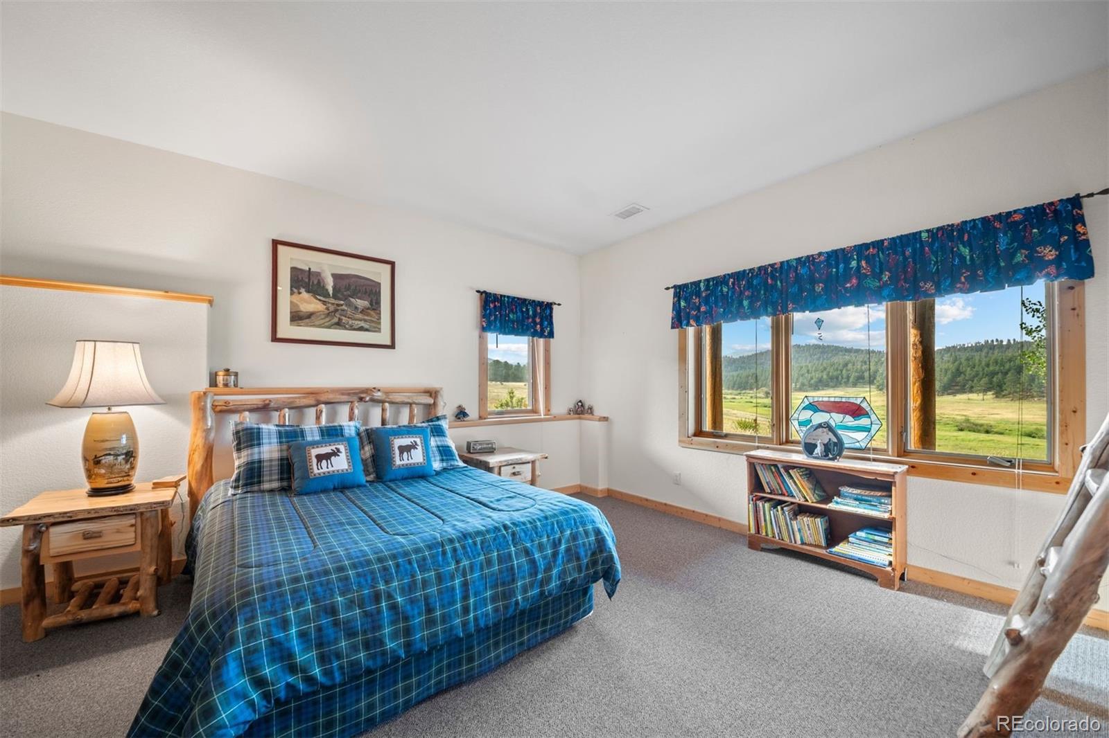MLS Image #35 for 79  six shooter court,bailey, Colorado
