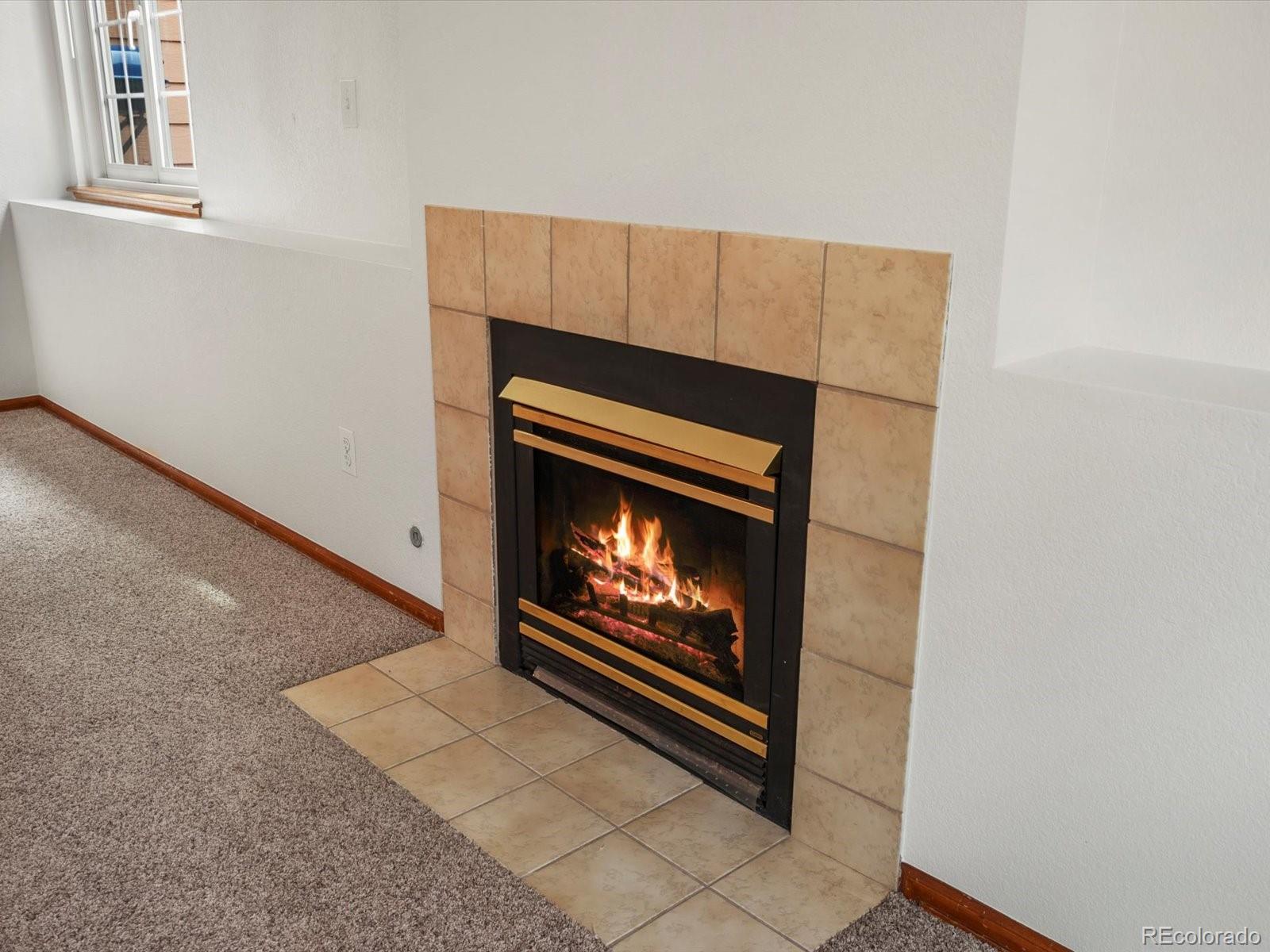 MLS Image #33 for 13169  umatilla court,denver, Colorado