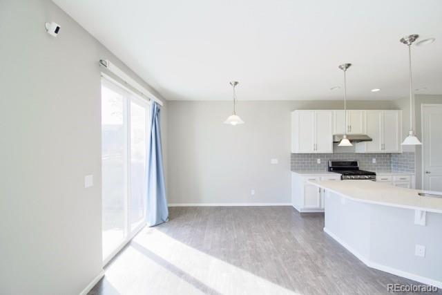 MLS Image #13 for 2082 s cathay way,aurora, Colorado
