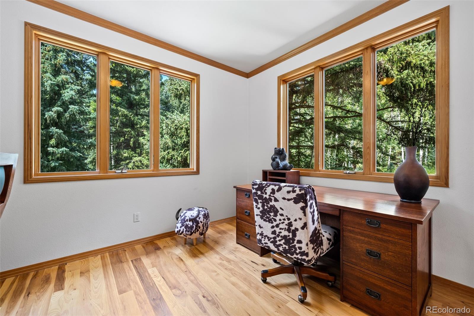 MLS Image #14 for 31  cougar way,evergreen, Colorado