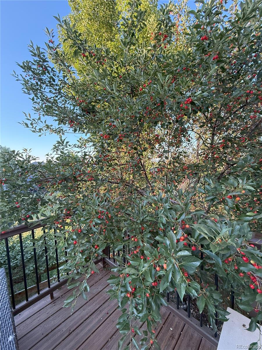 MLS Image #19 for 16583 e prairie wind avenue,parker, Colorado