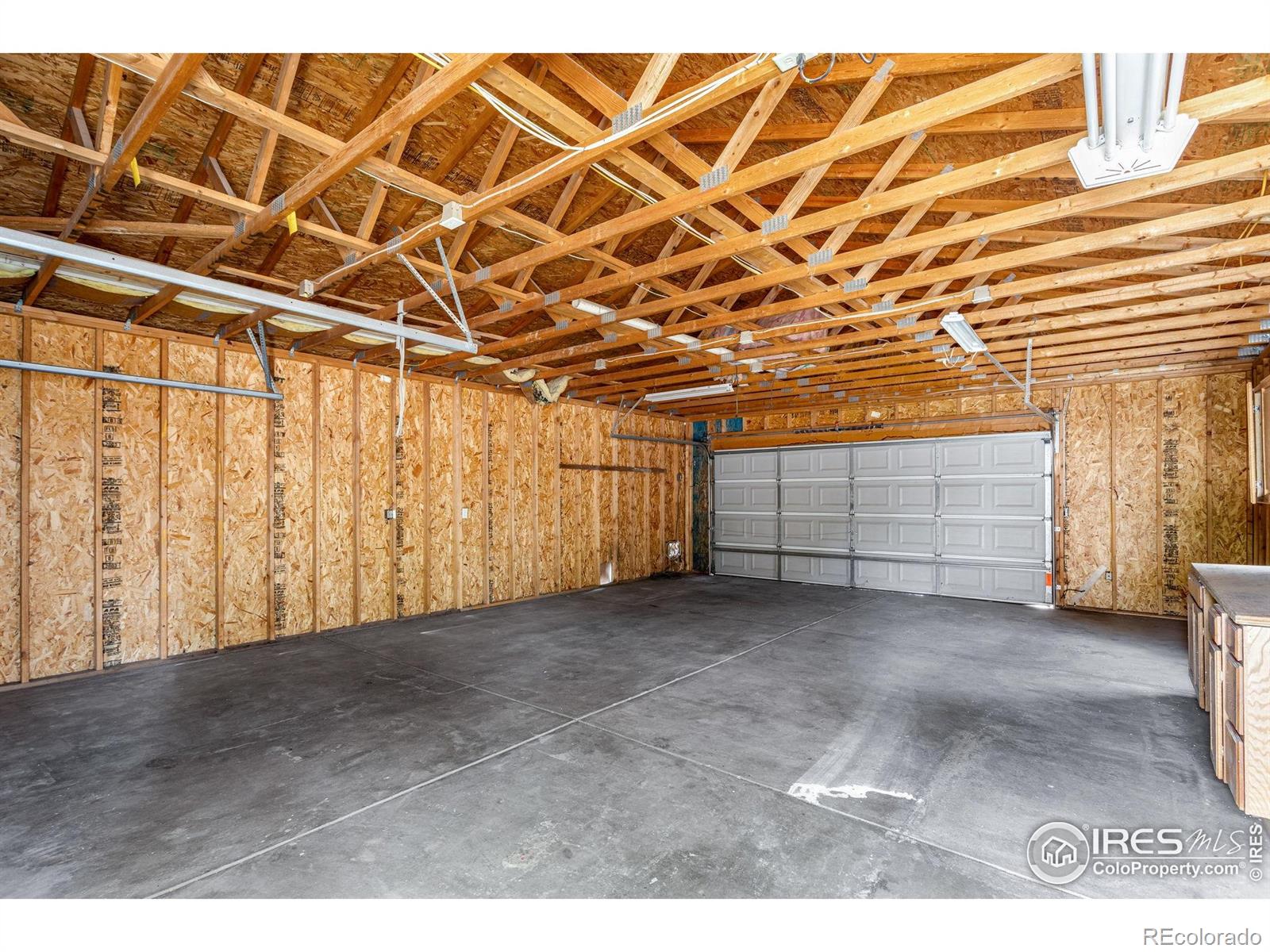 MLS Image #7 for 3901  roosevelt avenue,wellington, Colorado